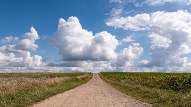 Peaceful dirt road under a blue sky with fluffy clouds in the countryside of Sittard, Limburg.