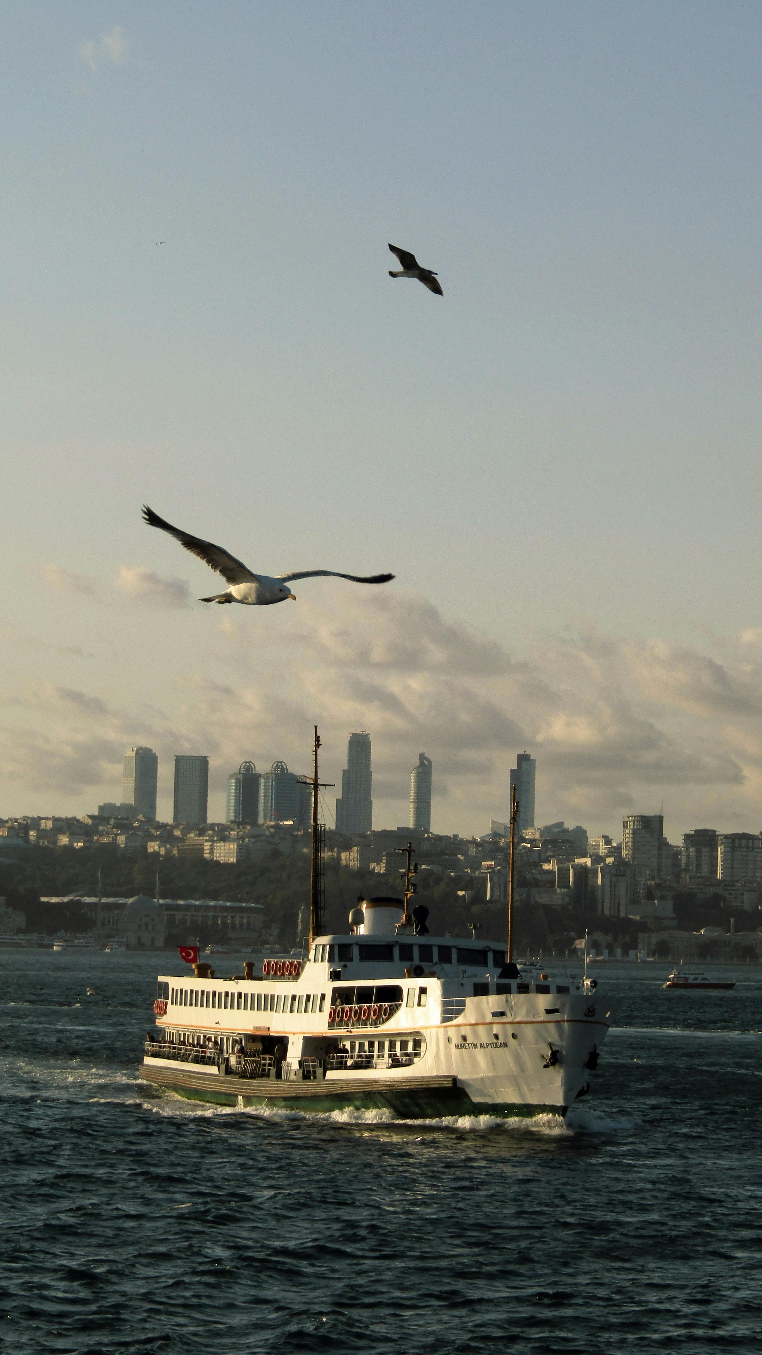 A ferry cruising the Bosphorus under seagulls, with Istanbul's skyline at sunset.