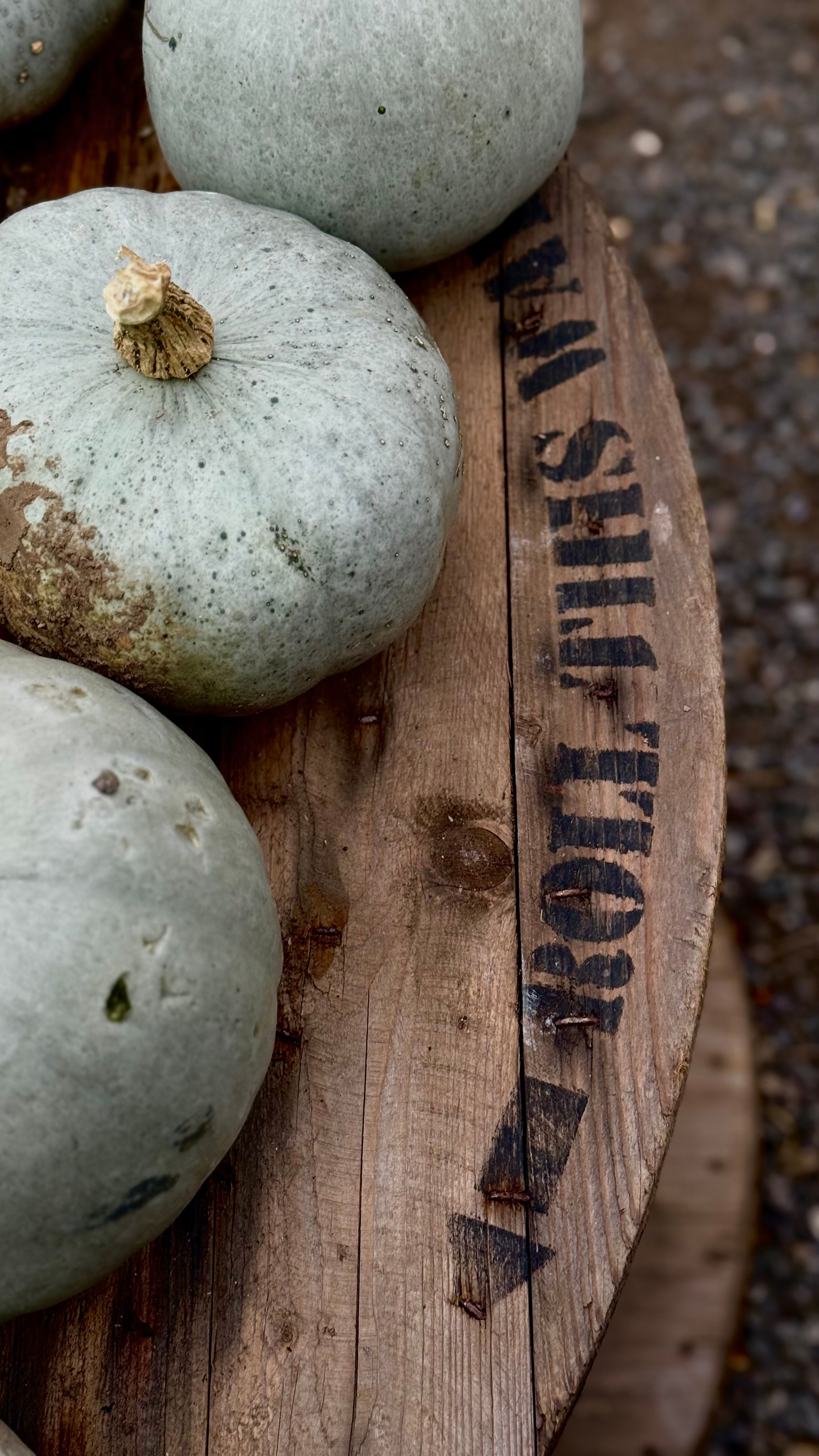Farm Texture Photos, Download The BEST Free Farm Texture Stock Photos ...