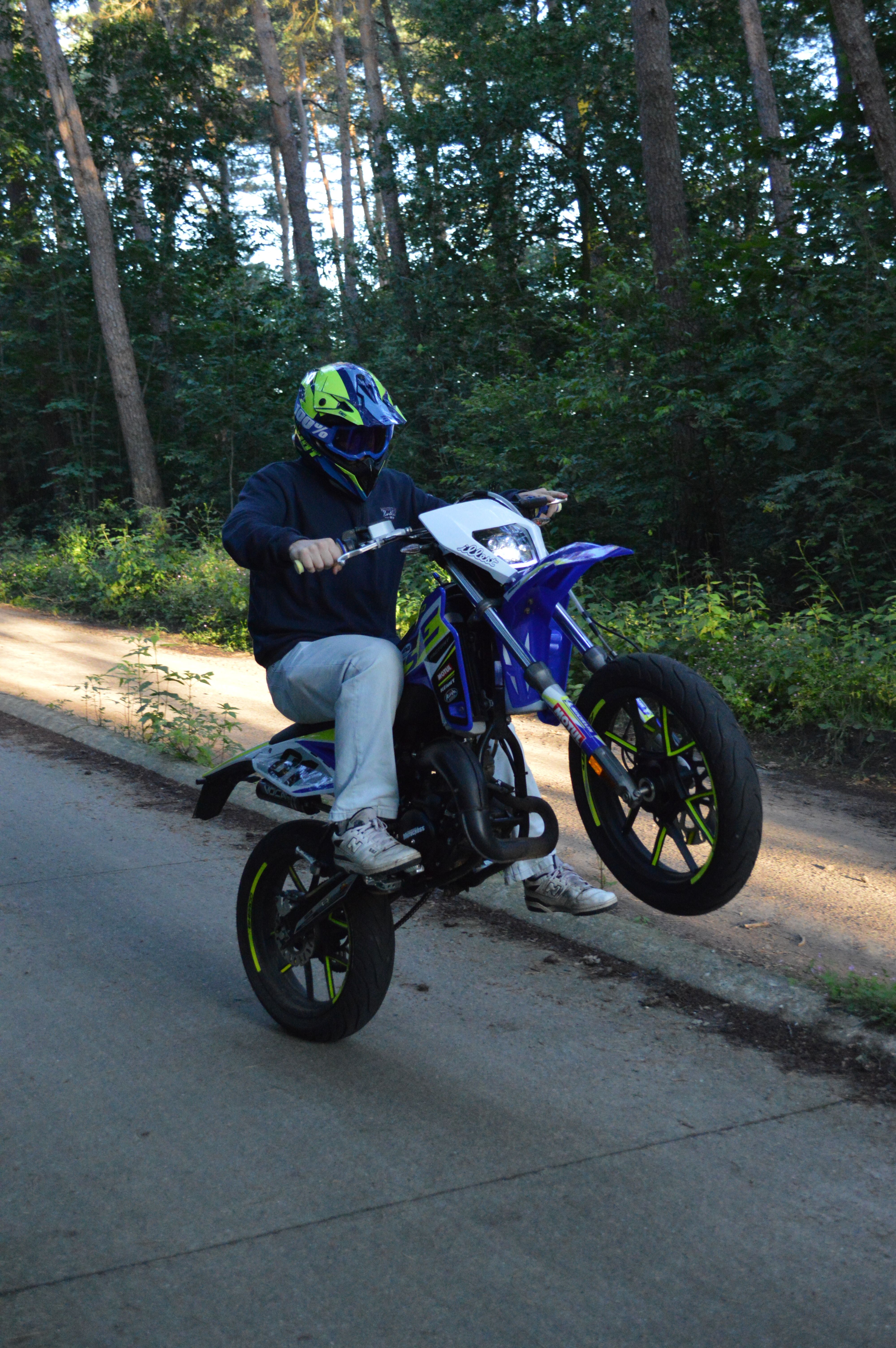 Motorcyclist performs a wheelie on a blue bike through a wooded area, showcasing skill and adrenaline.