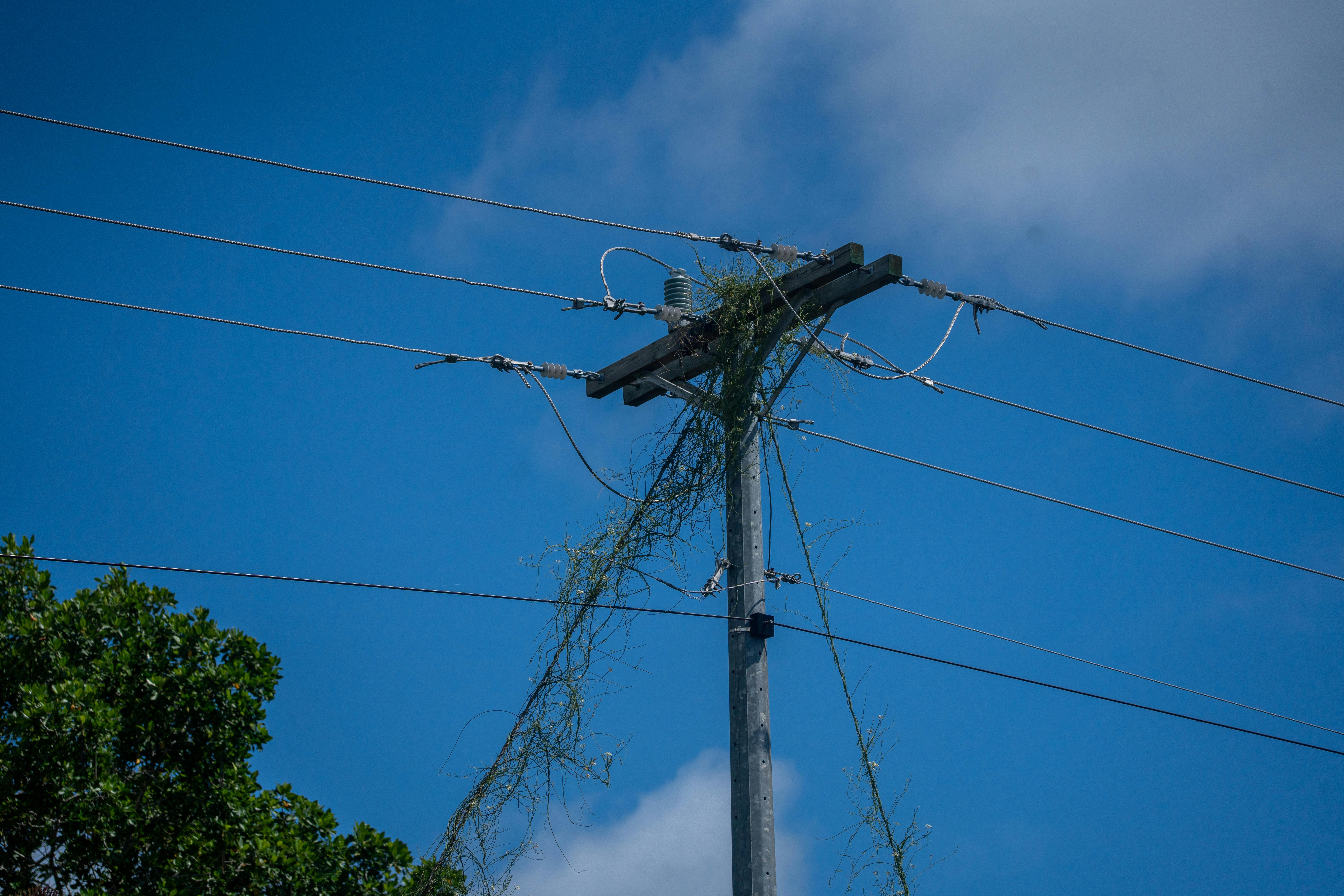 Innovative Metrics for Measuring Inclusion Impact