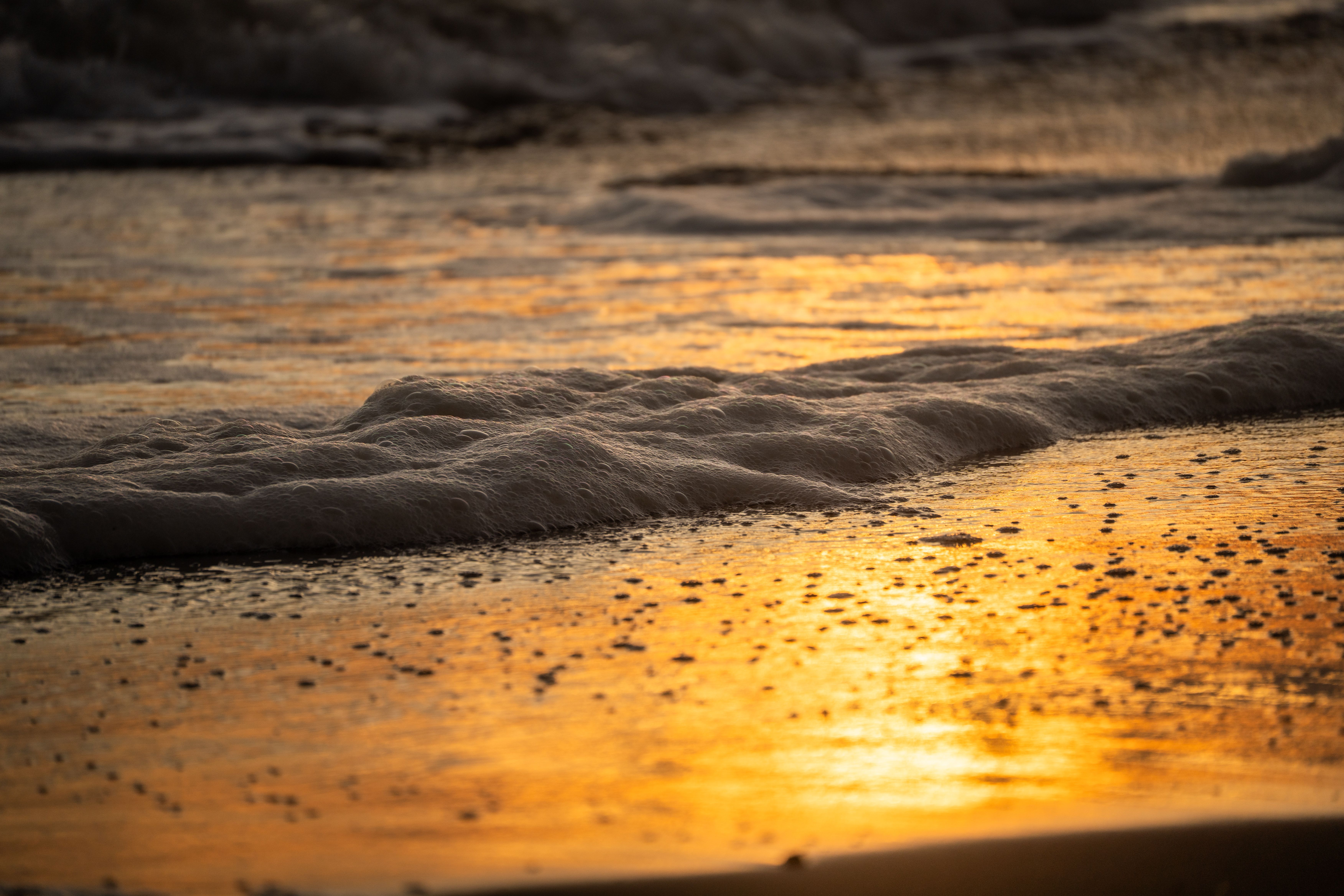 Fernan Vaz Ocean Beach view 2