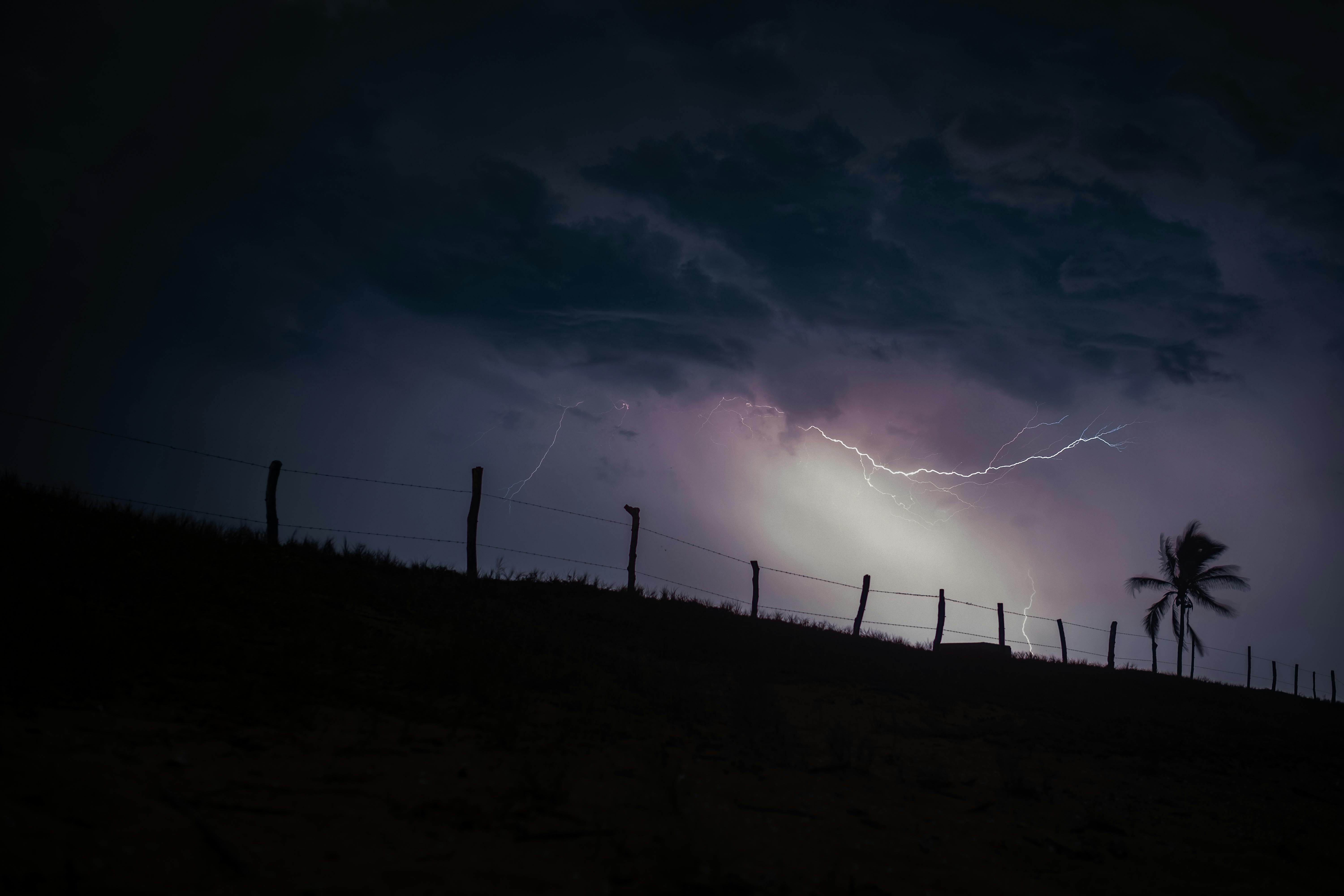 silhouette of coconut tree under clouds with lightning