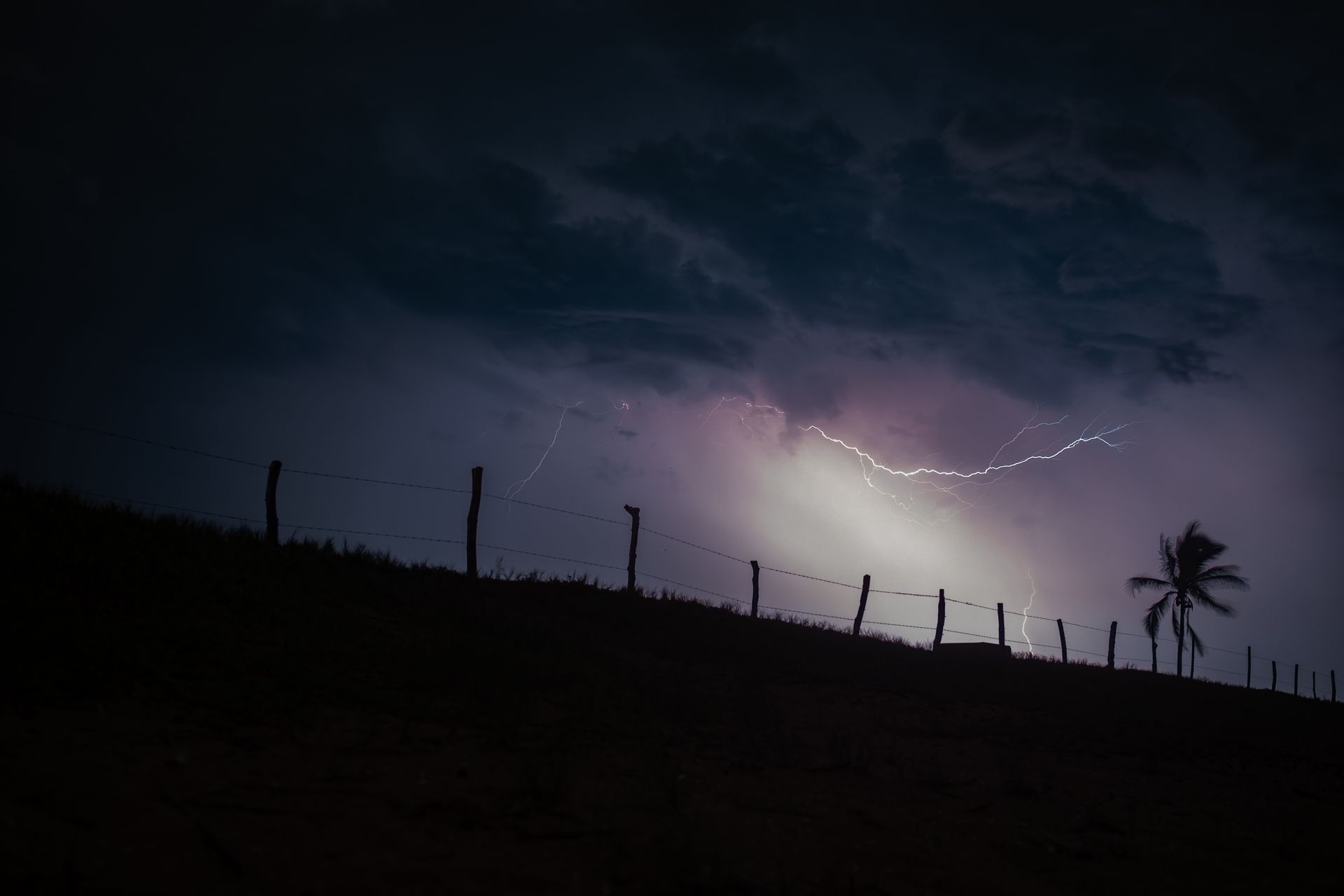 Silhouette of Coconut Tree Under Clouds With Lightning