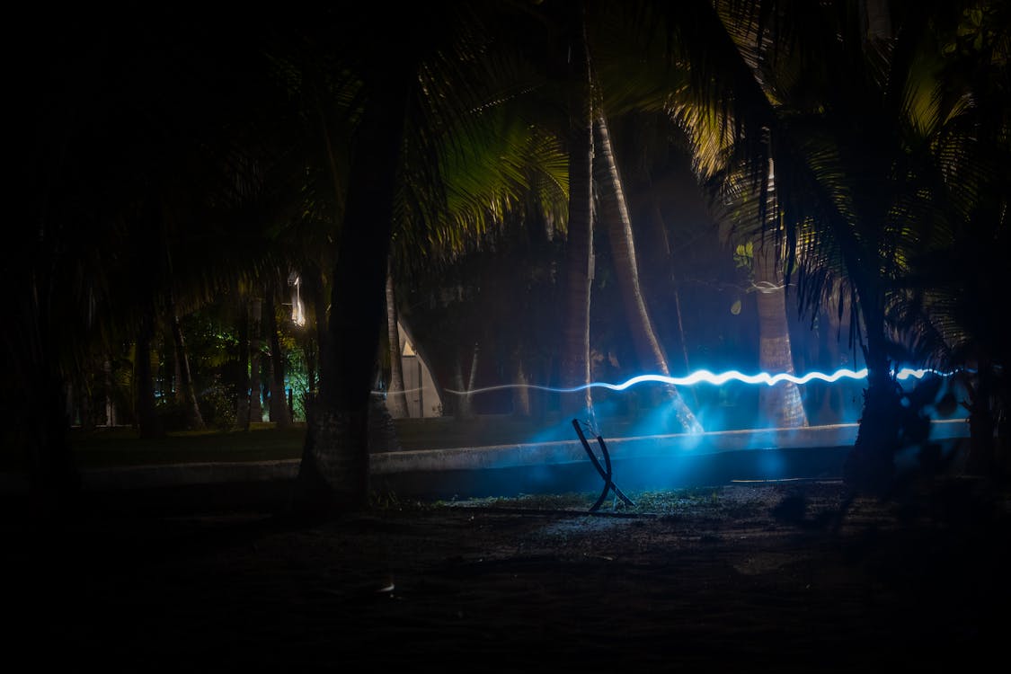 Free stock photo of blue light, dancing lights, jungle