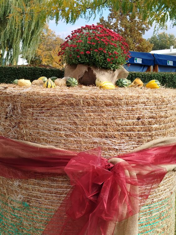 Festive Hay Bale with Autumn Decorations · Free Stock Photo