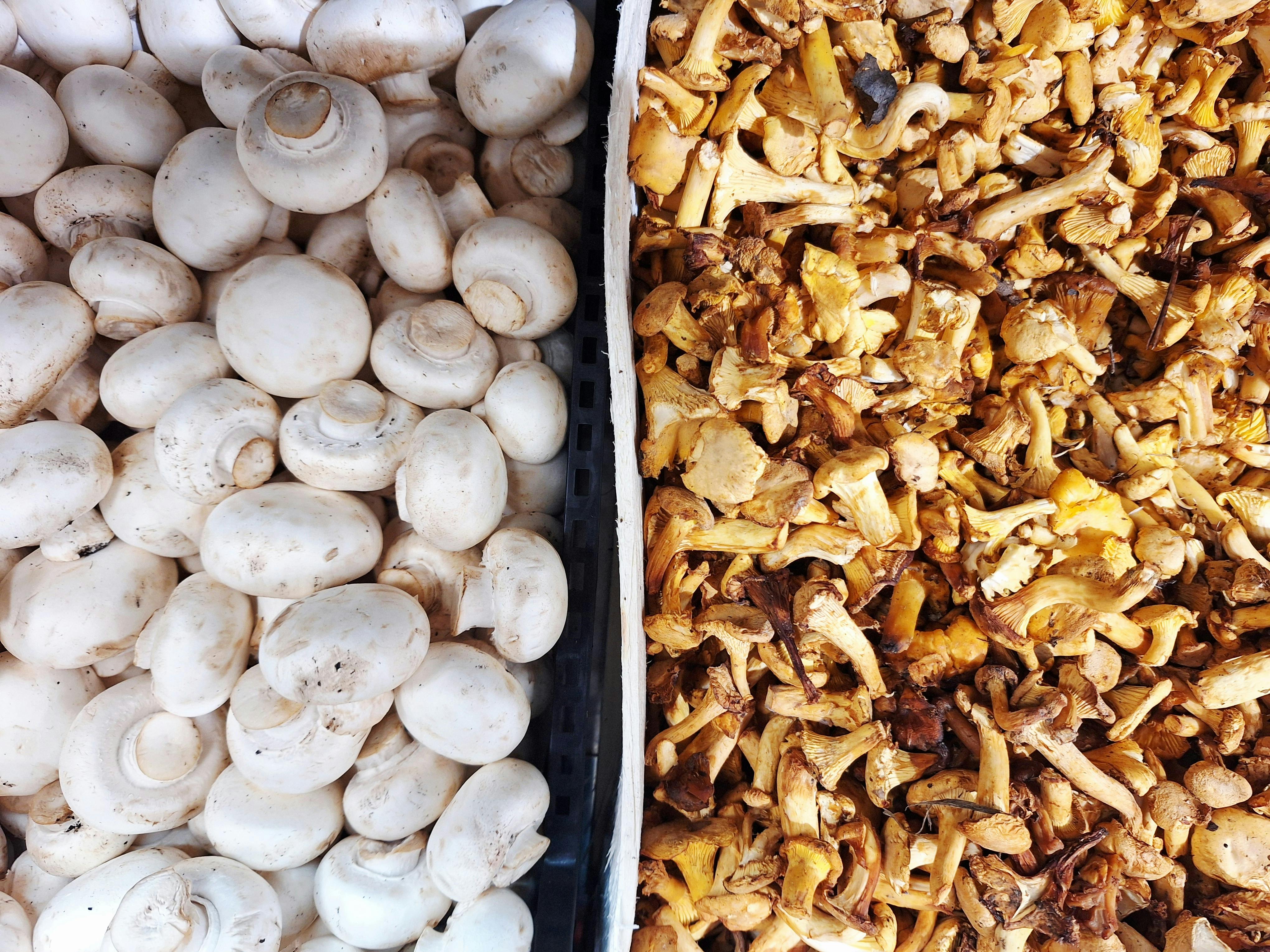 生活：國健署推「F4」守則，助女性將更年期轉為健康新起點