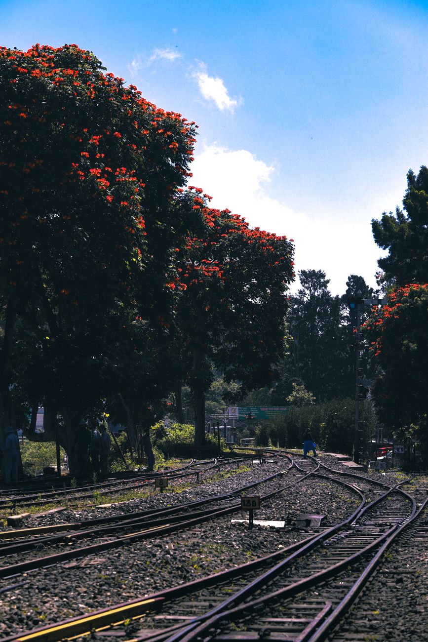 Ooty destination landscape