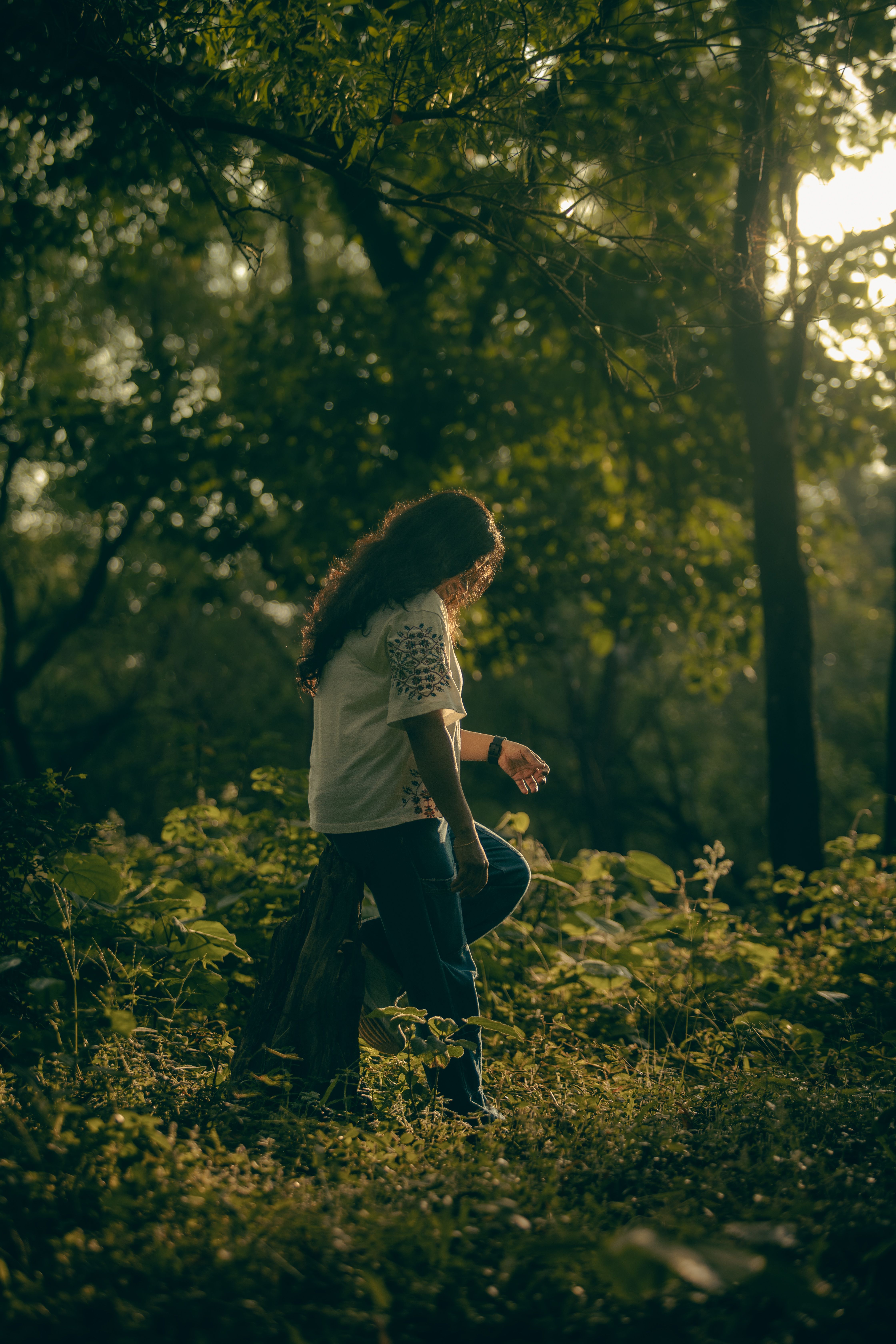 Young Woman Walking in Serene Forest at Sunset · Free Stock Photo