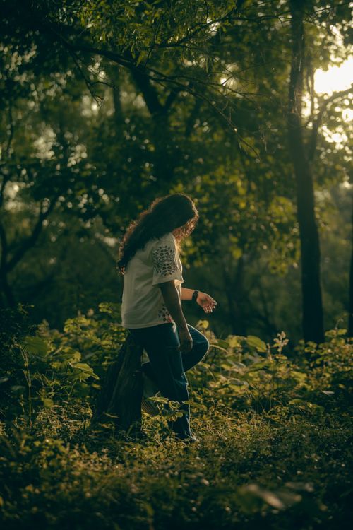 Free A young woman leisurely strolls through a tranquil forest setting bathed in warm sunlight. Stock Photo