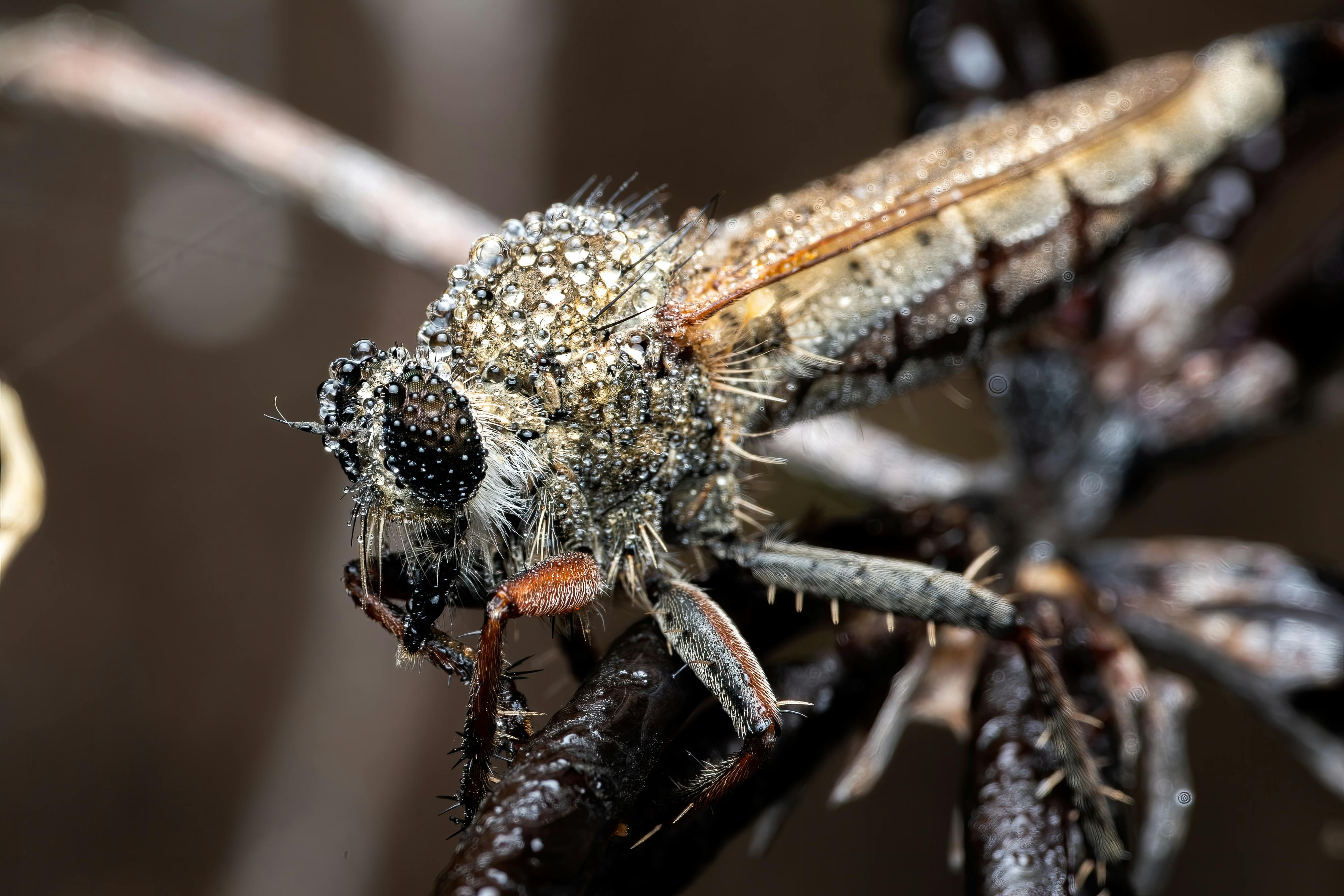 ¿Qué es el Vale Digital Pin y por qué es esencial para tus compras en línea?