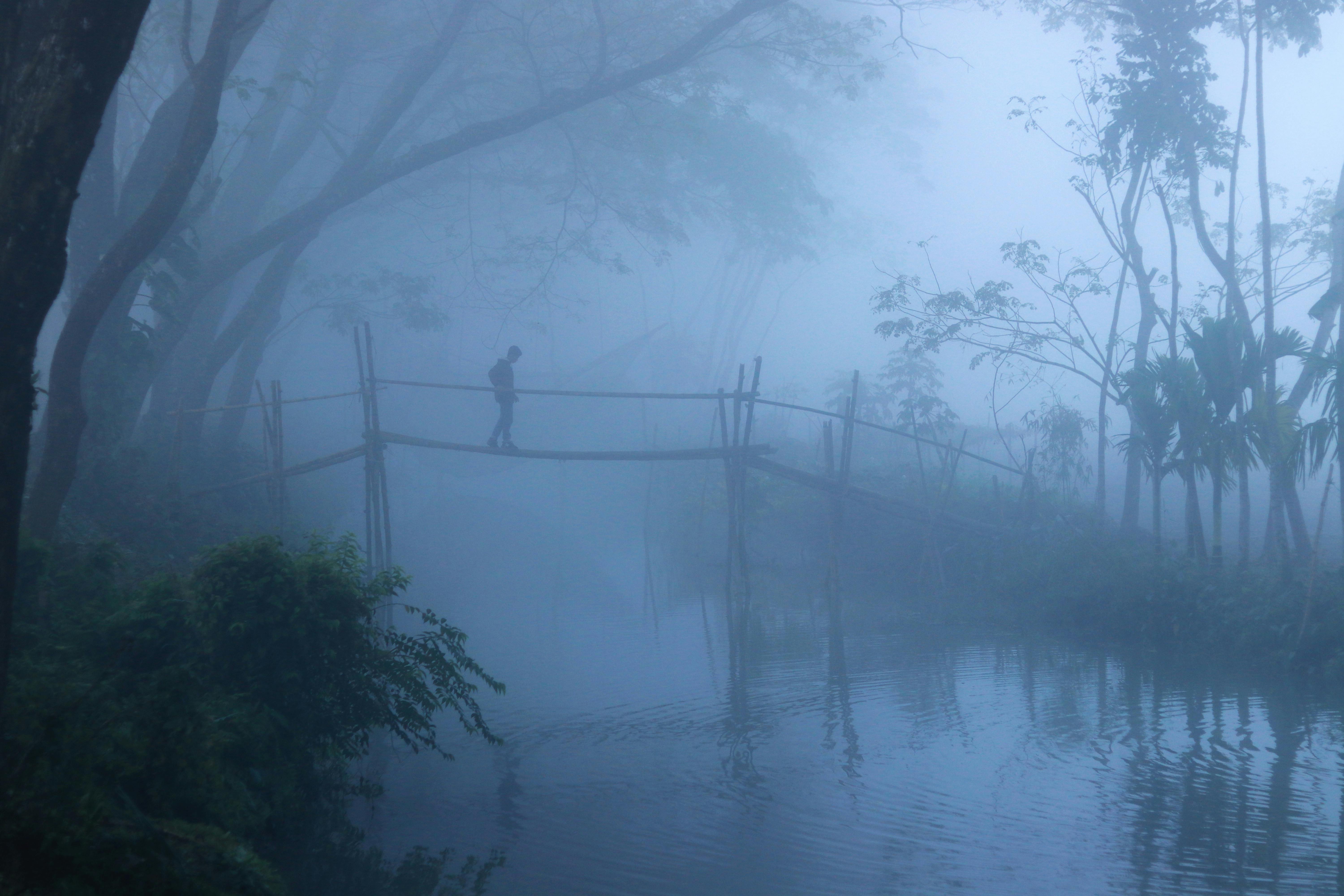 政治：鄭麗文當選黨主席 媒體人警告恐加劇社會撕裂