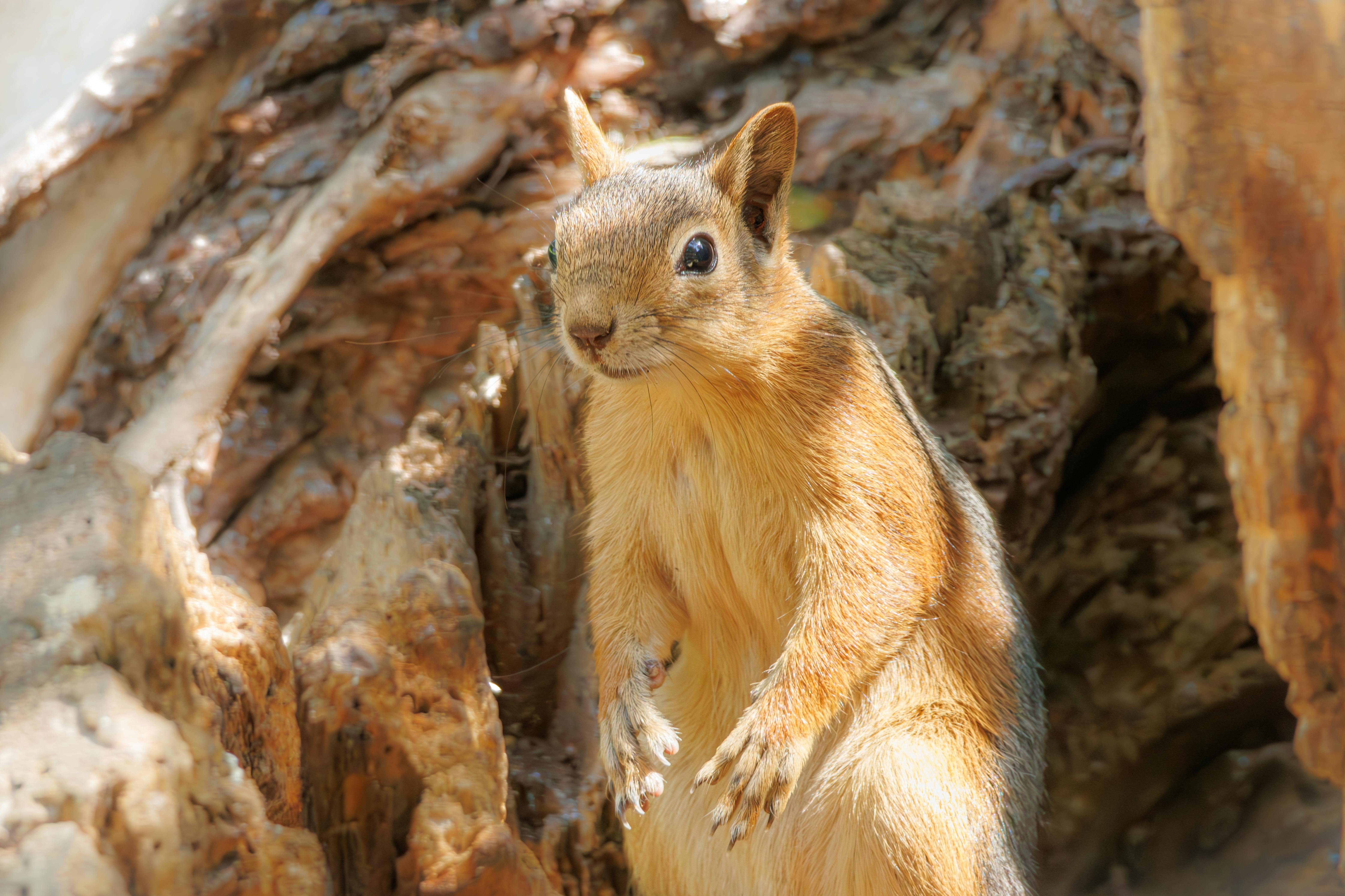 財經青紅燈：輝達最青睞的合作夥伴仍是台積電