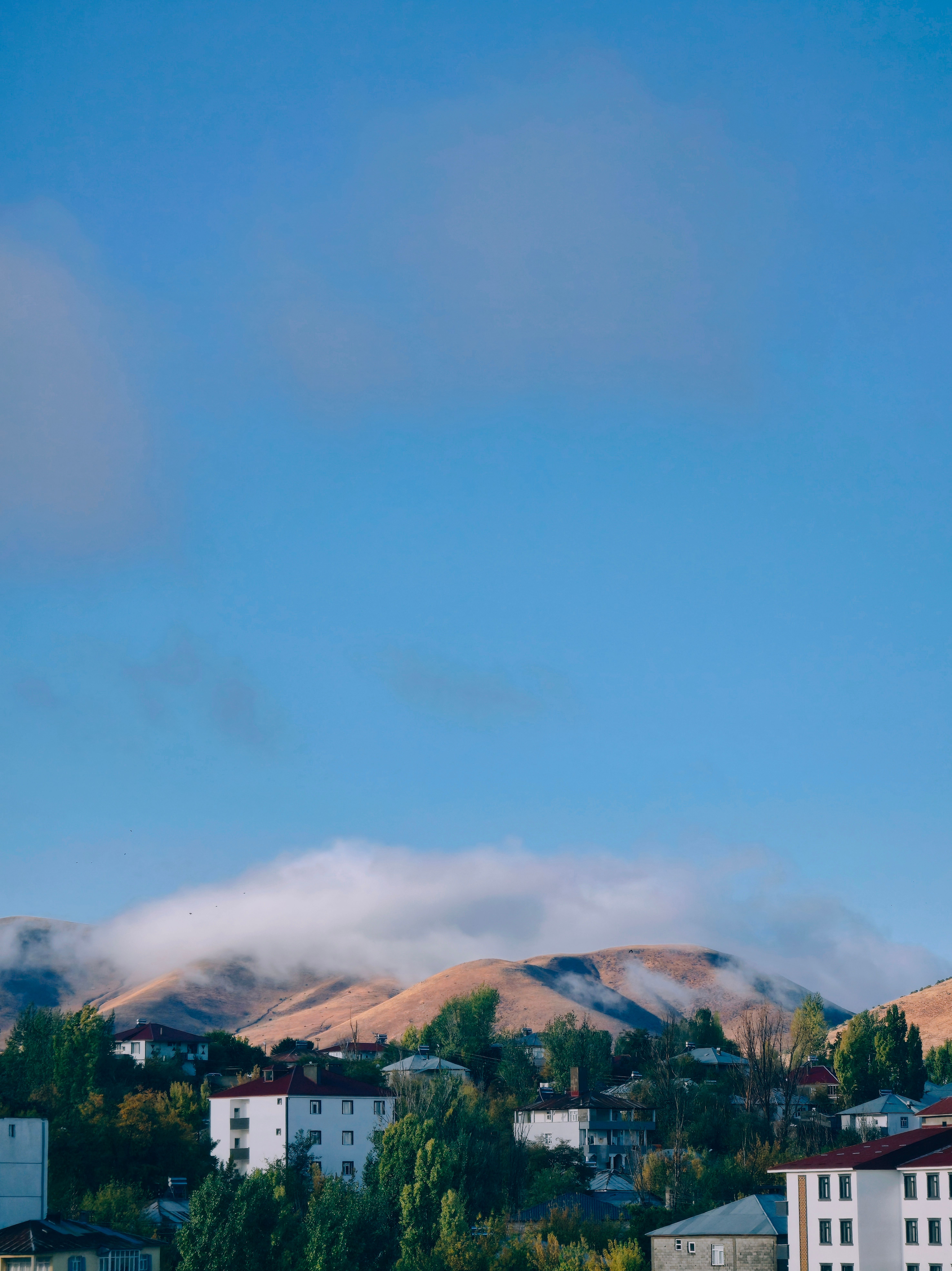 Charming view of Bulanık's hills and residential area under a clear blue sky.