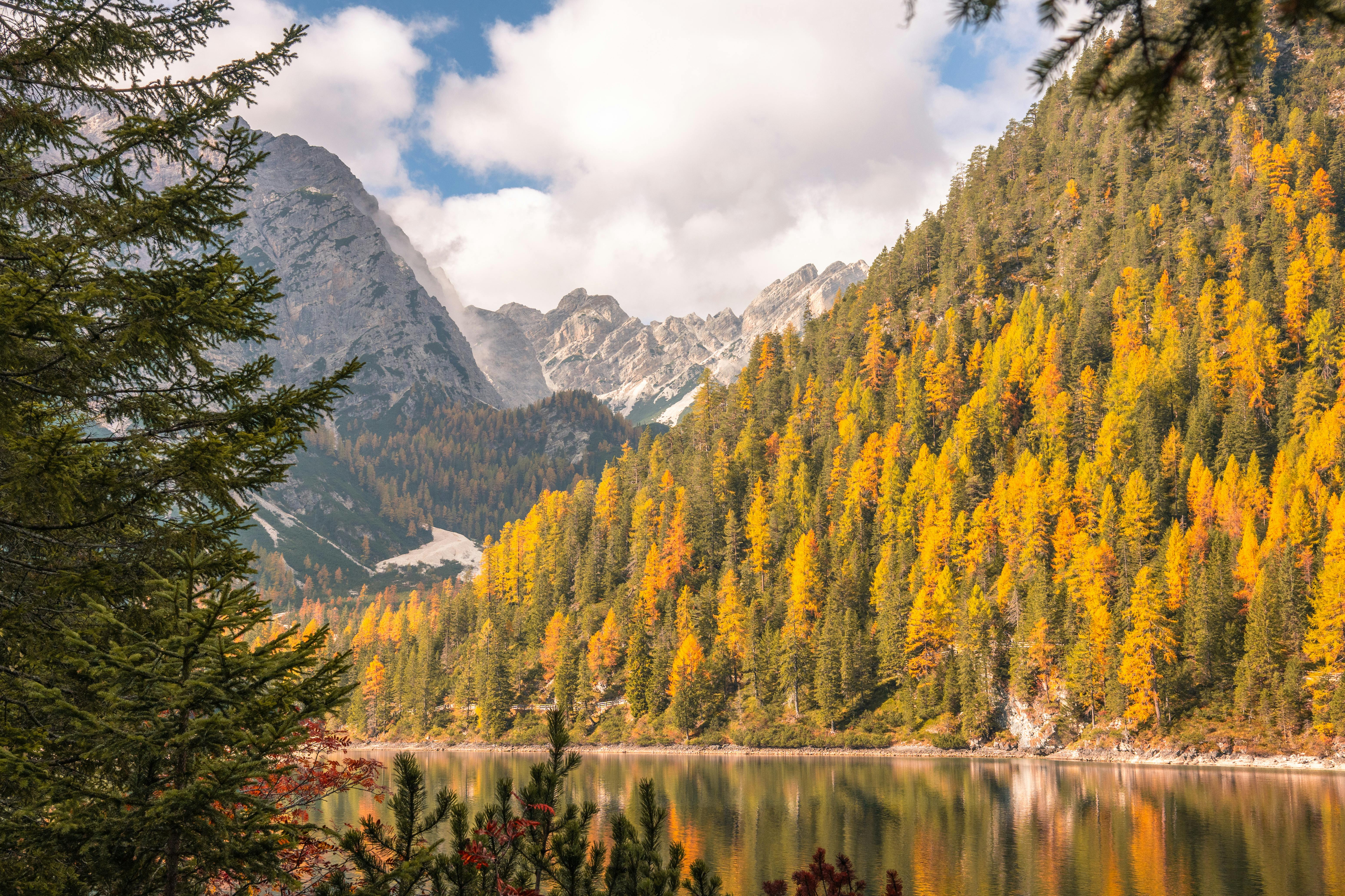 財經：黃金價格暴漲非泡沫，重現70年代黃金狂潮有望成真