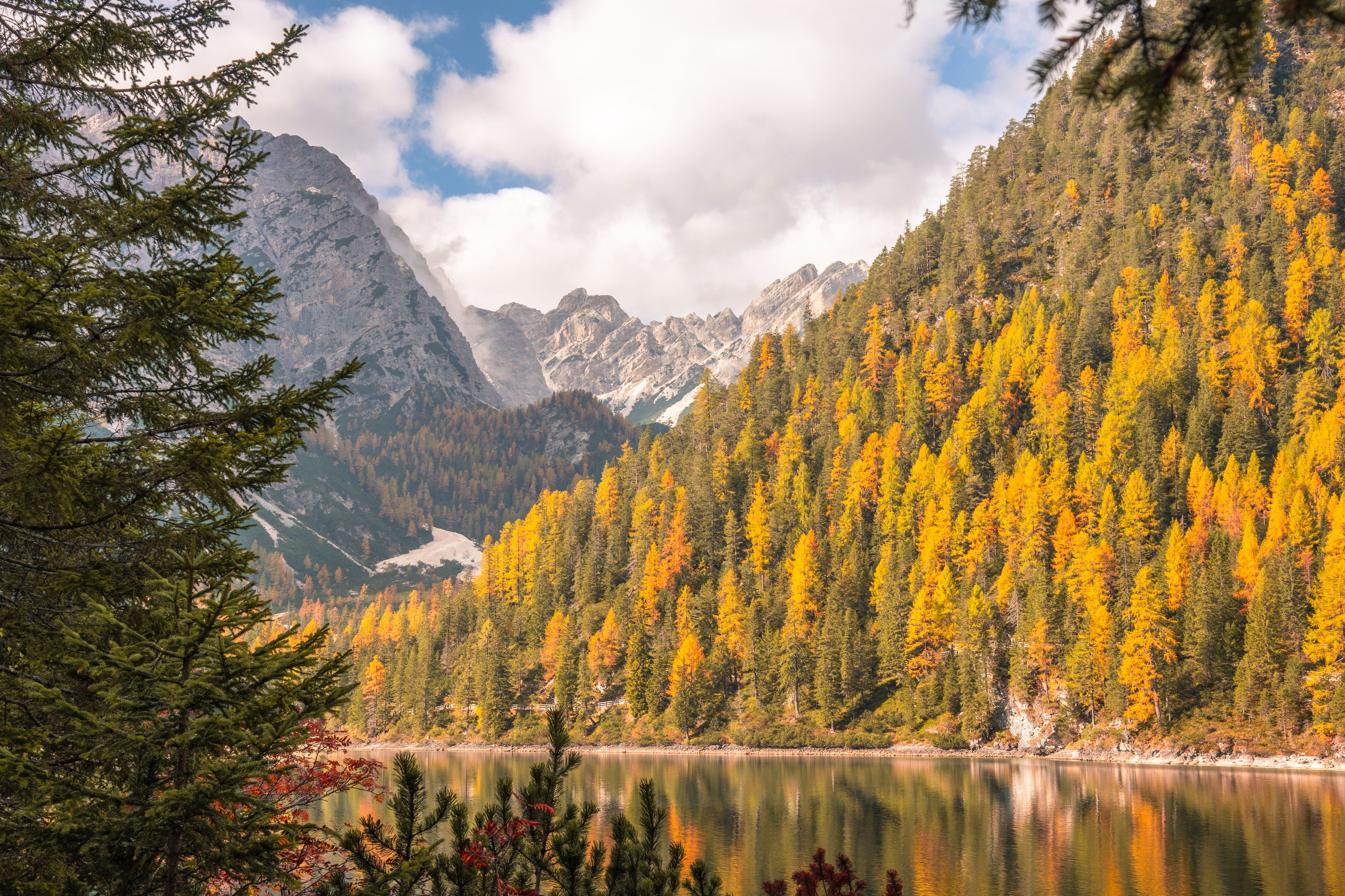 Prompt+Of++Picture Photos, Download The BEST Free Prompt+Of++Picture ...