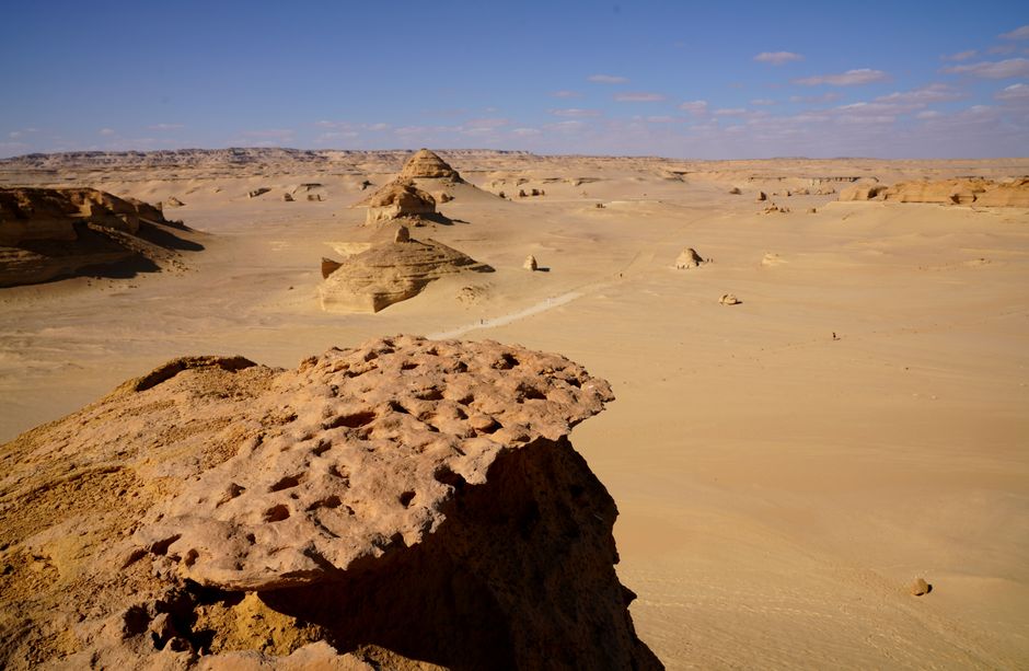 2-dniowa wycieczka do Oazy Fajum i Wadi El Hitan z Kairu