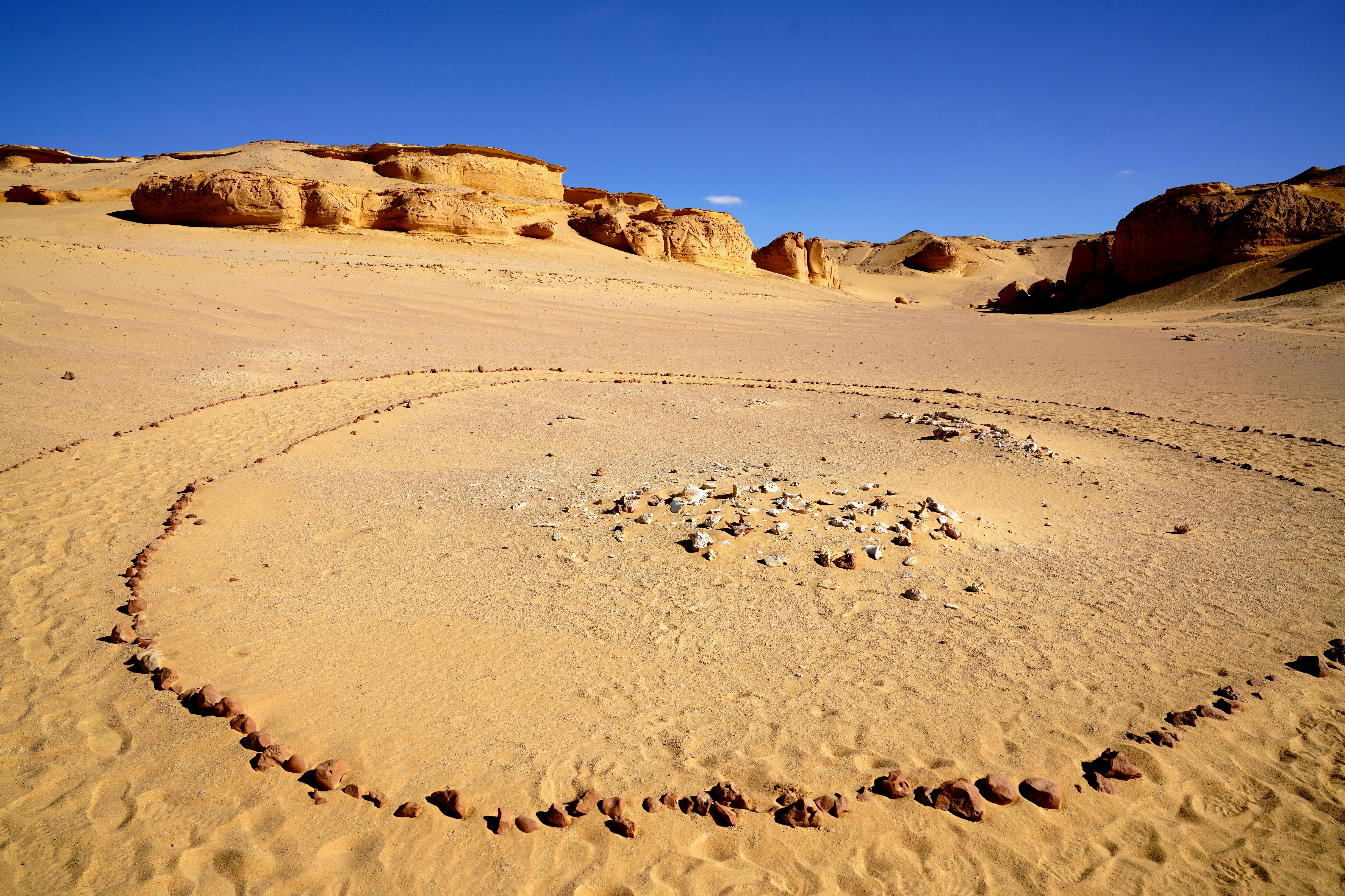 Image : Echoes in the Sand: My Solo Desert Crossing and the Power of Resilience