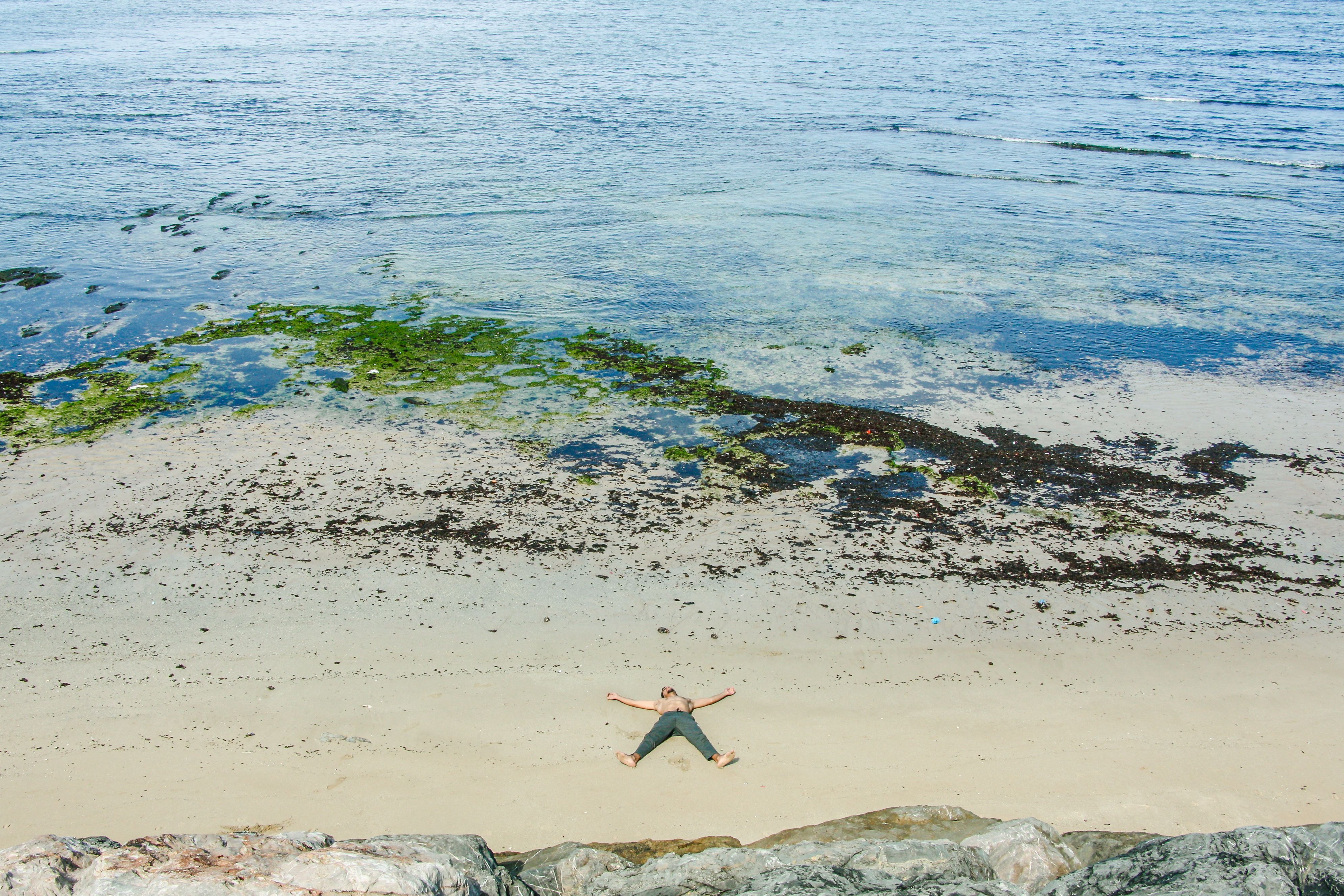 bare-butt-beach-photos-download-the-best-free-bare-butt-beach-stock