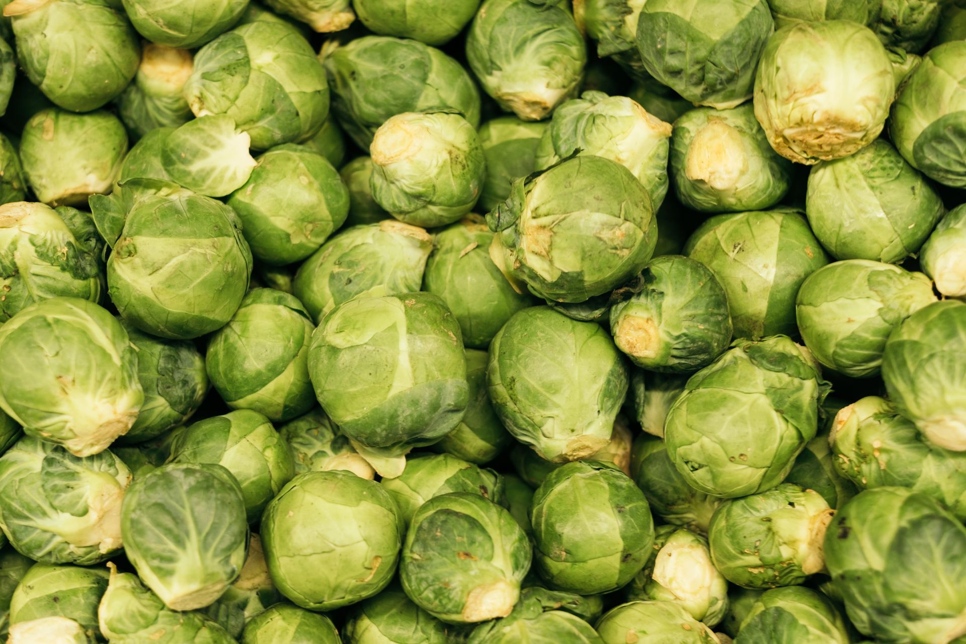 A vibrant pile of fresh Brussels sprouts showcasing their green color and texture.