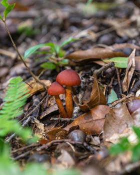 Image by Enrique Hidalgo