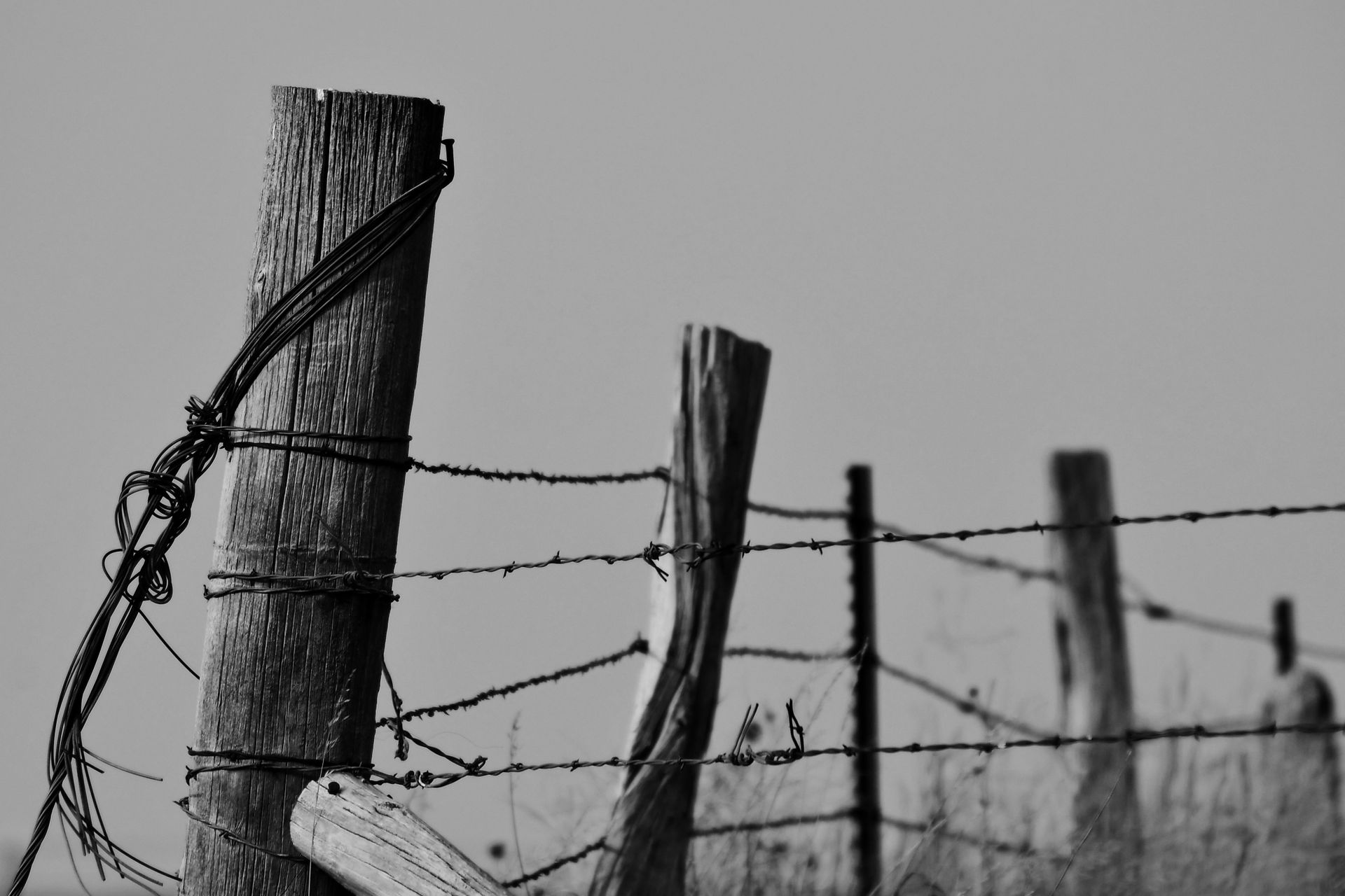 Rural fence line in North America