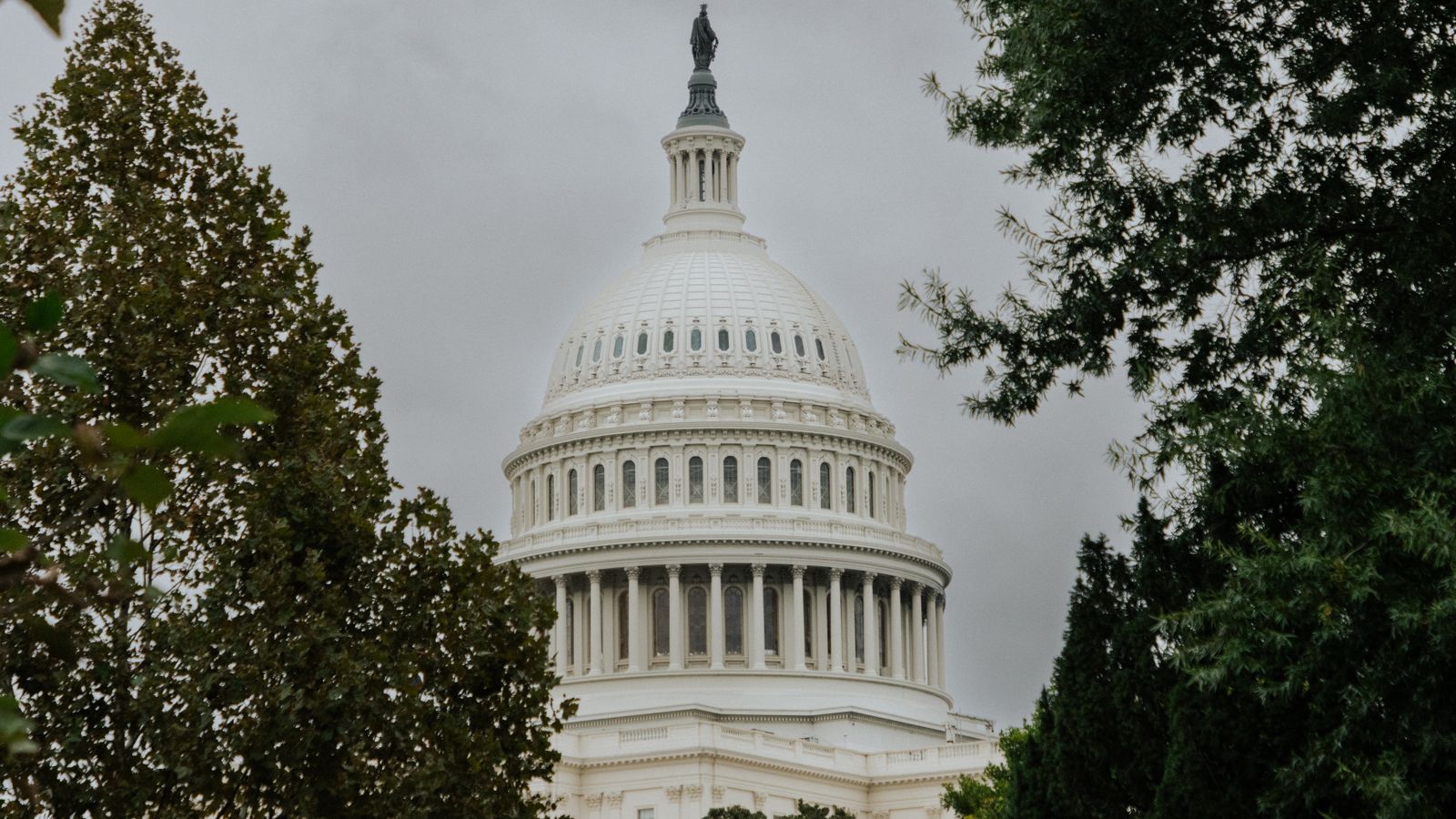 View of the US Capitol dome surrounded by foliage under a cloudy sky.