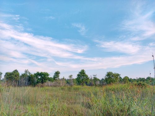 Free A tranquil view of an open grassland under a clear blue sky with scattered clouds. Stock Photo