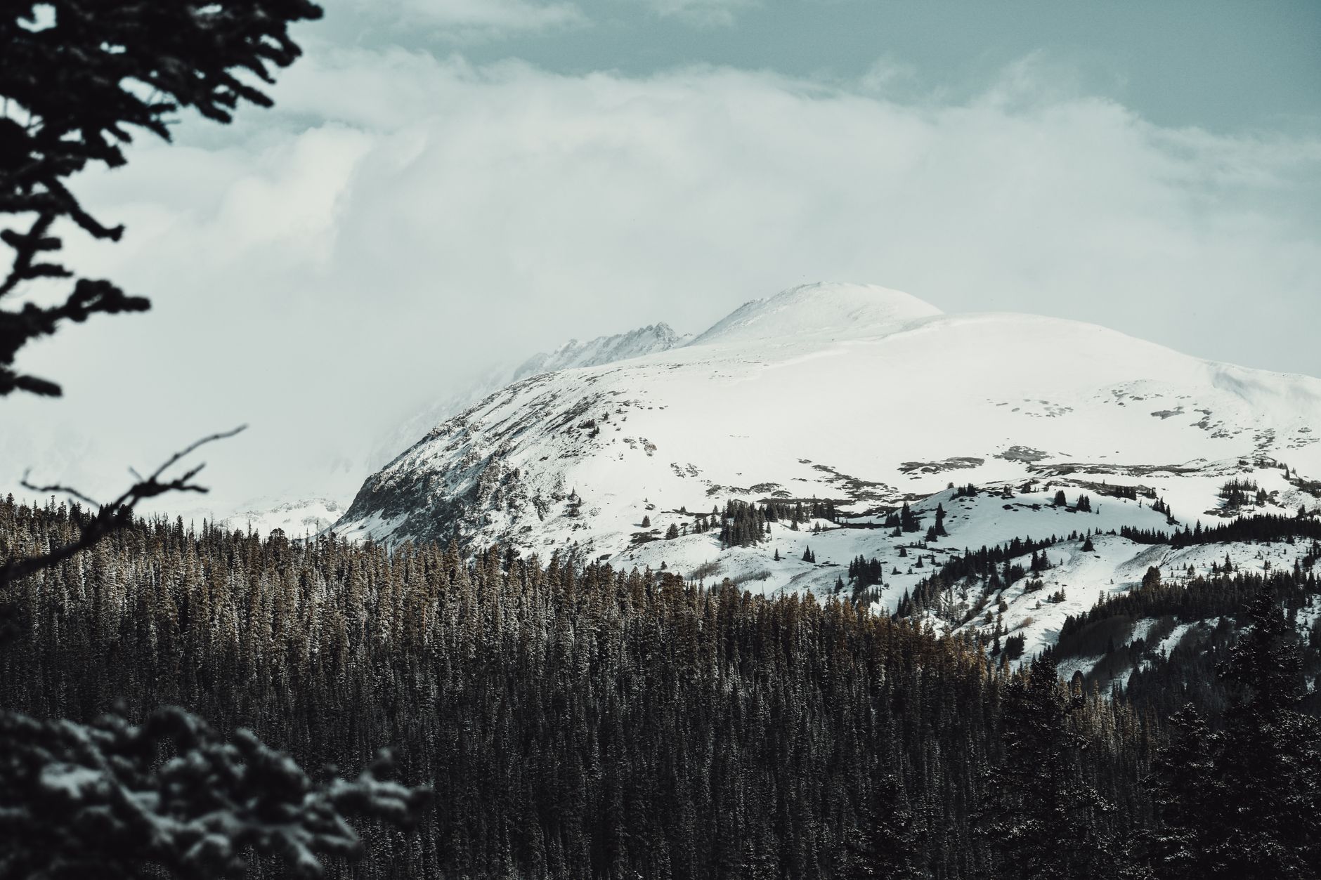 Scenic view of snow-covered mountains and dense evergreen forest under a moody sky, perfect for winter landscape lovers.