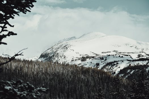 Scenic view of snow-covered mountains and dense evergreen forest under a moody sky, perfect for winter landscape lovers.