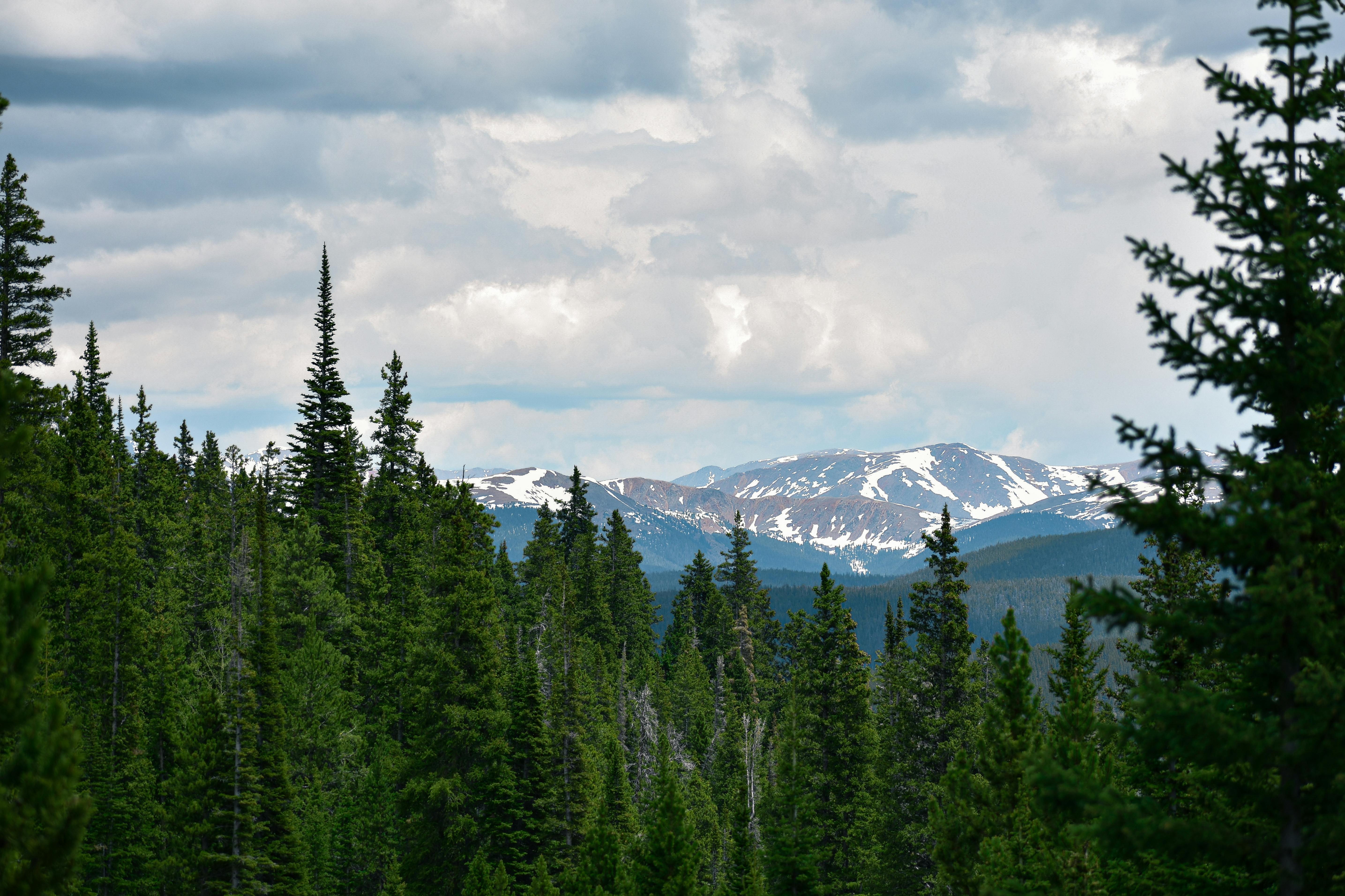 Colorado Democrats scramble to fund health care subsidies after loss of federal benefits — Photo by fish socks on Pexels