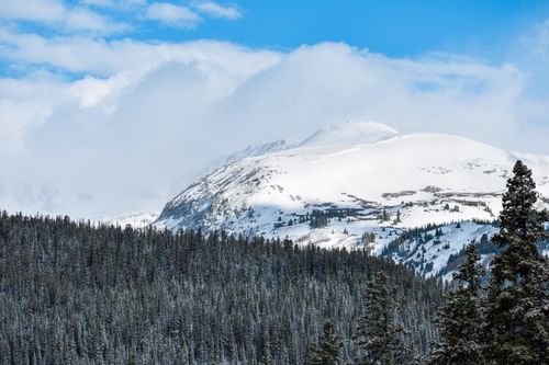 Free Scenic view of snowy Rockies and dense evergreen forest under a blue sky in Colorado. Stock Photo