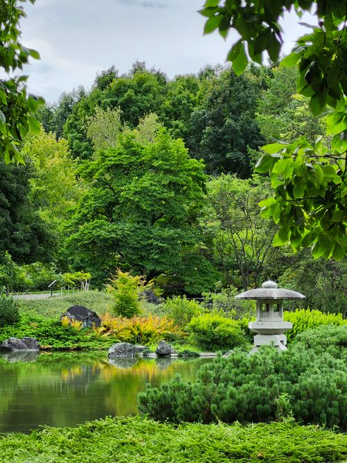 Free Serene Japanese garden scene with greenery and water in Montreal. Stock Photo