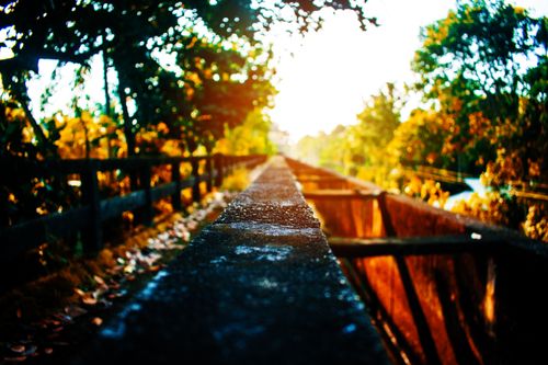 Free stock photo of alappu, bridge, in Stock Photo