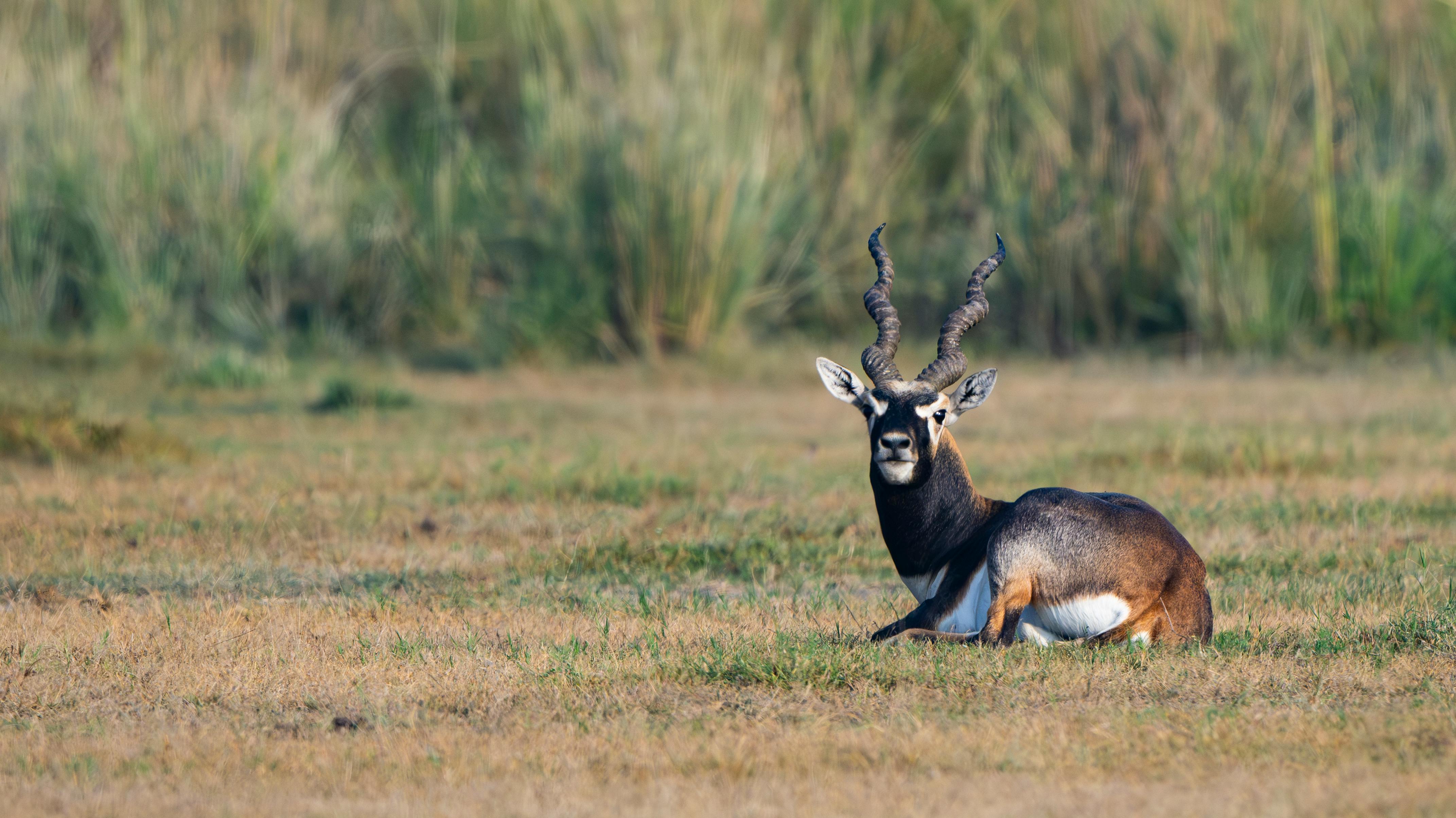 國際貨幣基金籲降低通膨 同時釋出更多外匯儲備支撐市場
