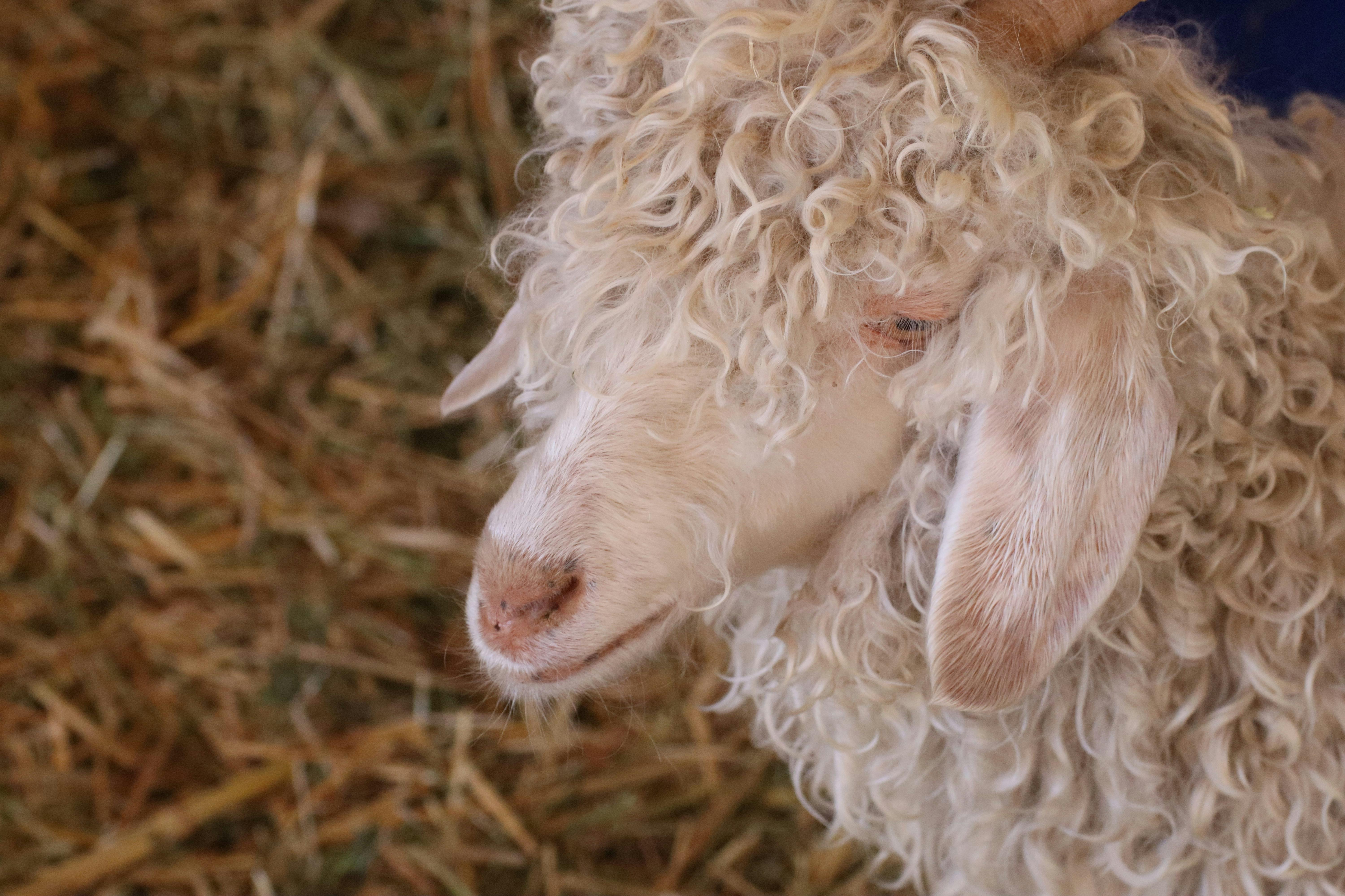 吉姆·克萊默談富國銀行股票 投資者不可忽視的財經觀點