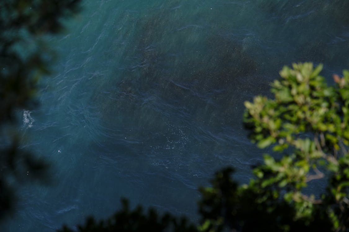 Free stock photo of ocean, water