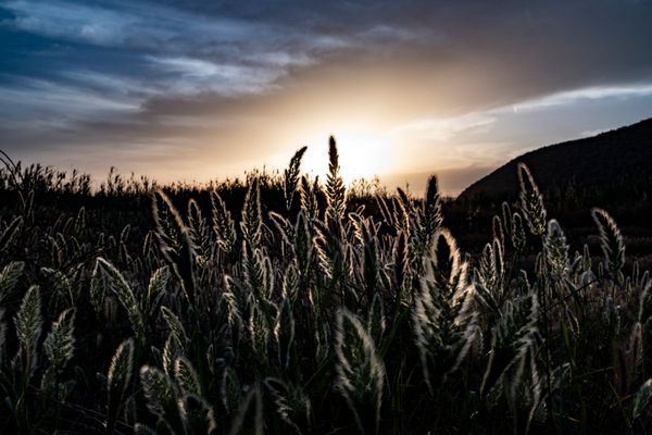 Hành trình đến vùng đất của các vị thần | Khám phá Hy Lạp cổ đại anh dep Hy Lap