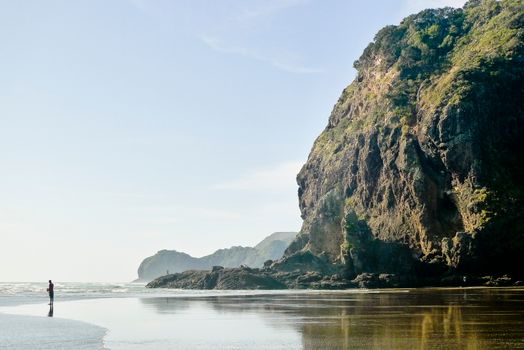 West Coast black-sand beaches — Auckland