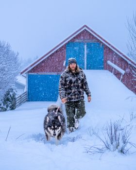 A man walks his Alaskan Malamute near a red barn in snowy Norway.