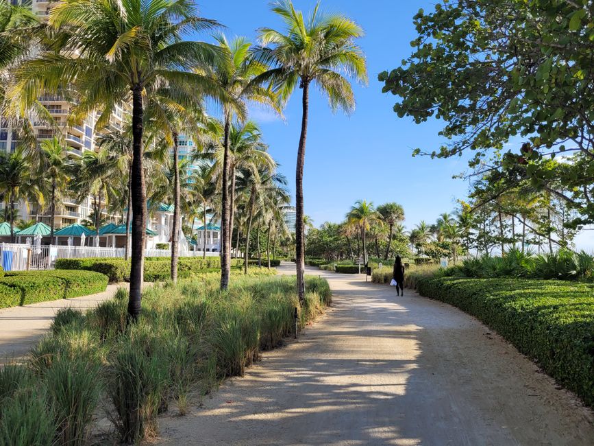 Oasis Hallandale