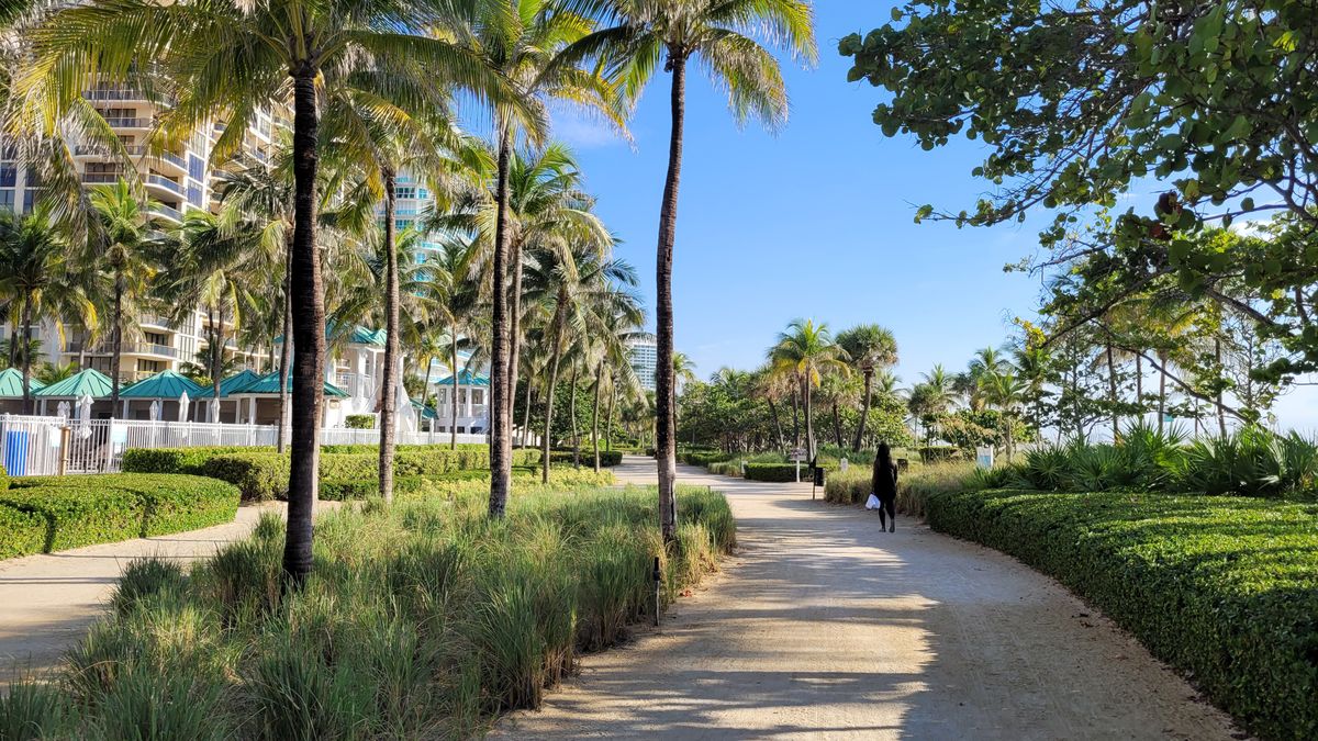 Best Sweepstakes in Miami, FL: 2026 Local Guide