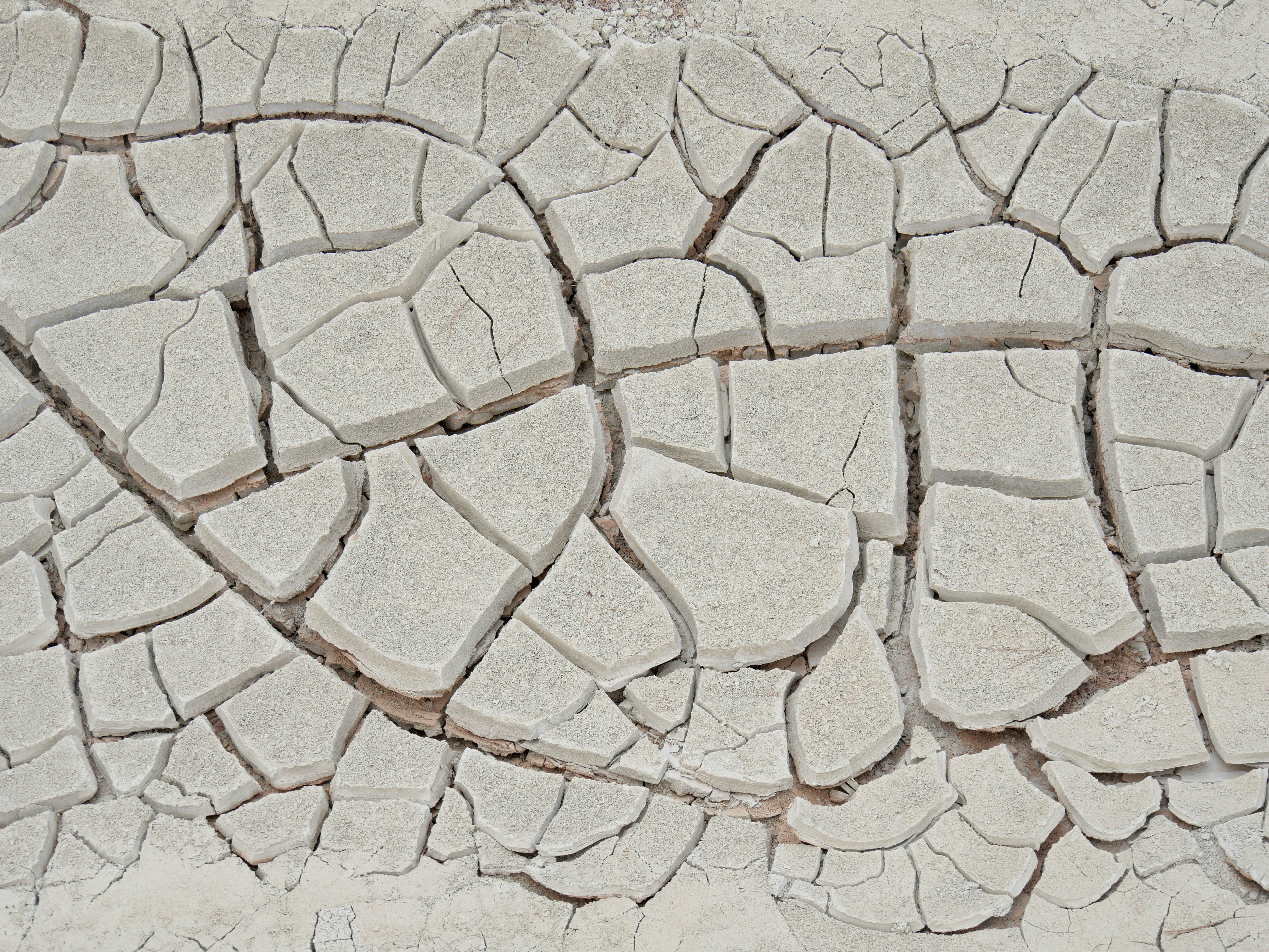 花蓮水災民調揭示超七成民眾認為政治責任失靈