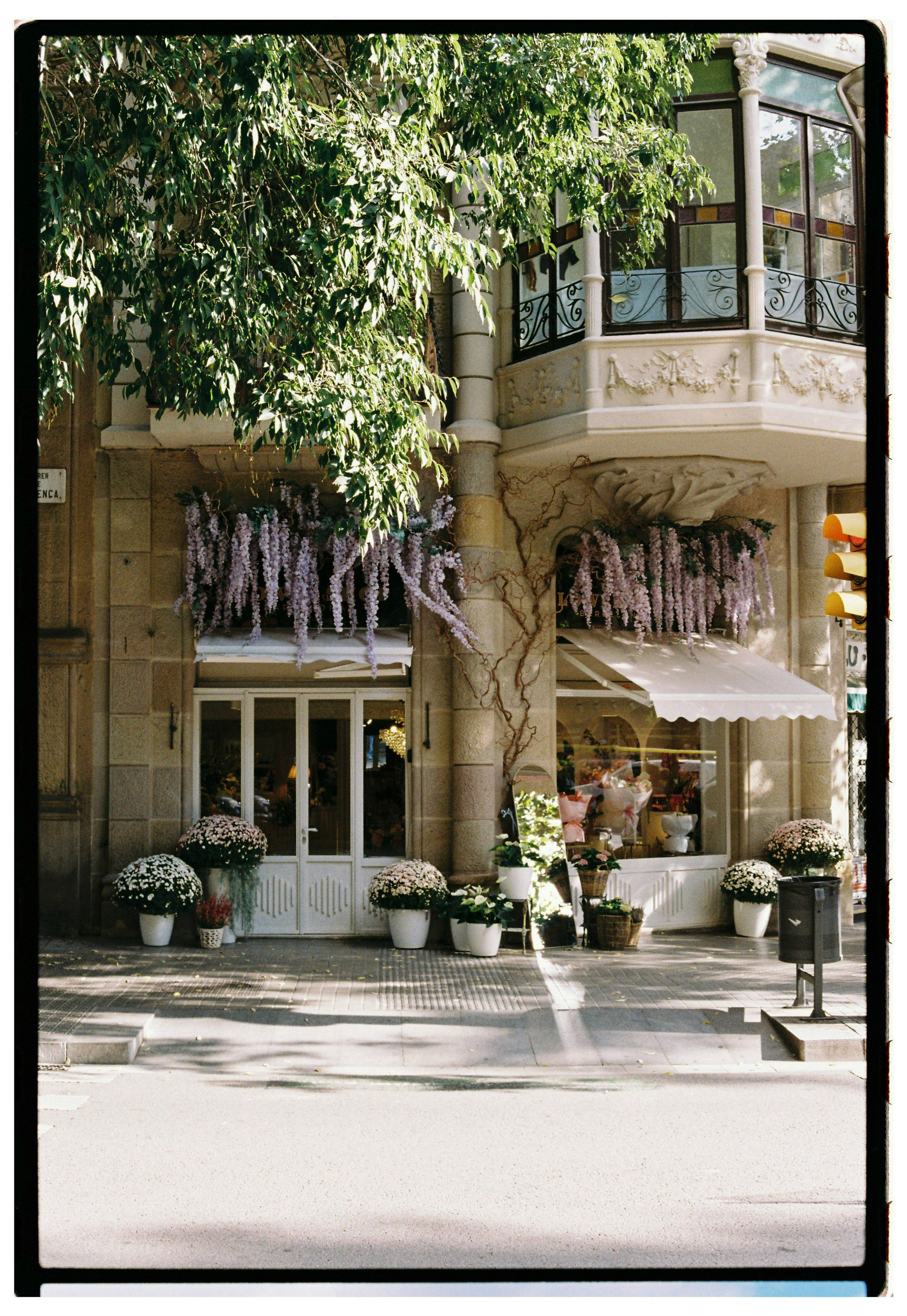 Charming cafe with floral decor under sunlight, offering a warm and inviting city atmosphere.