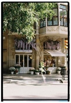 Charming cafe with floral decor under sunlight, offering a warm and inviting city atmosphere.