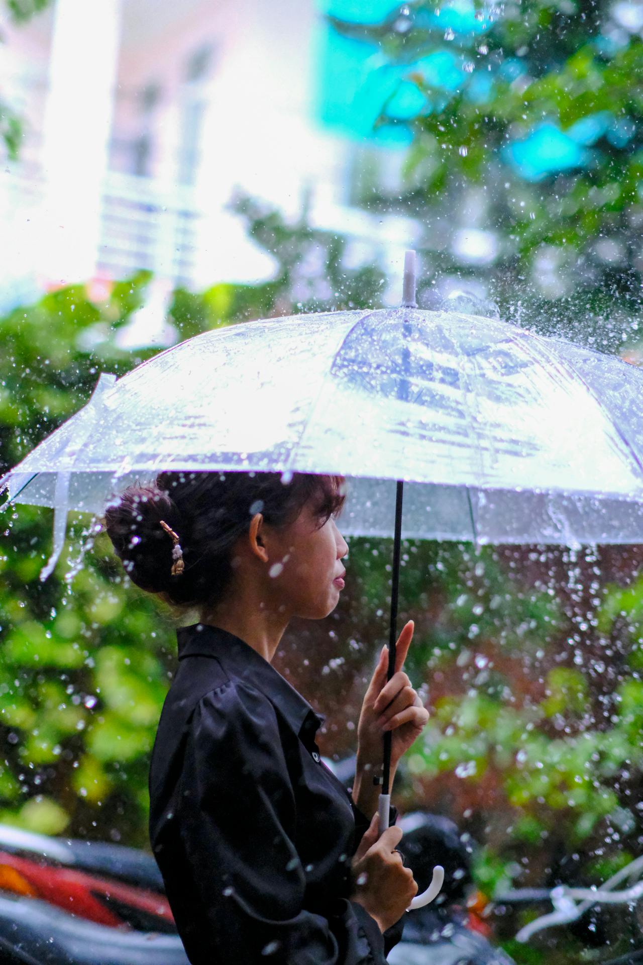 Chim lửa | Chương 60