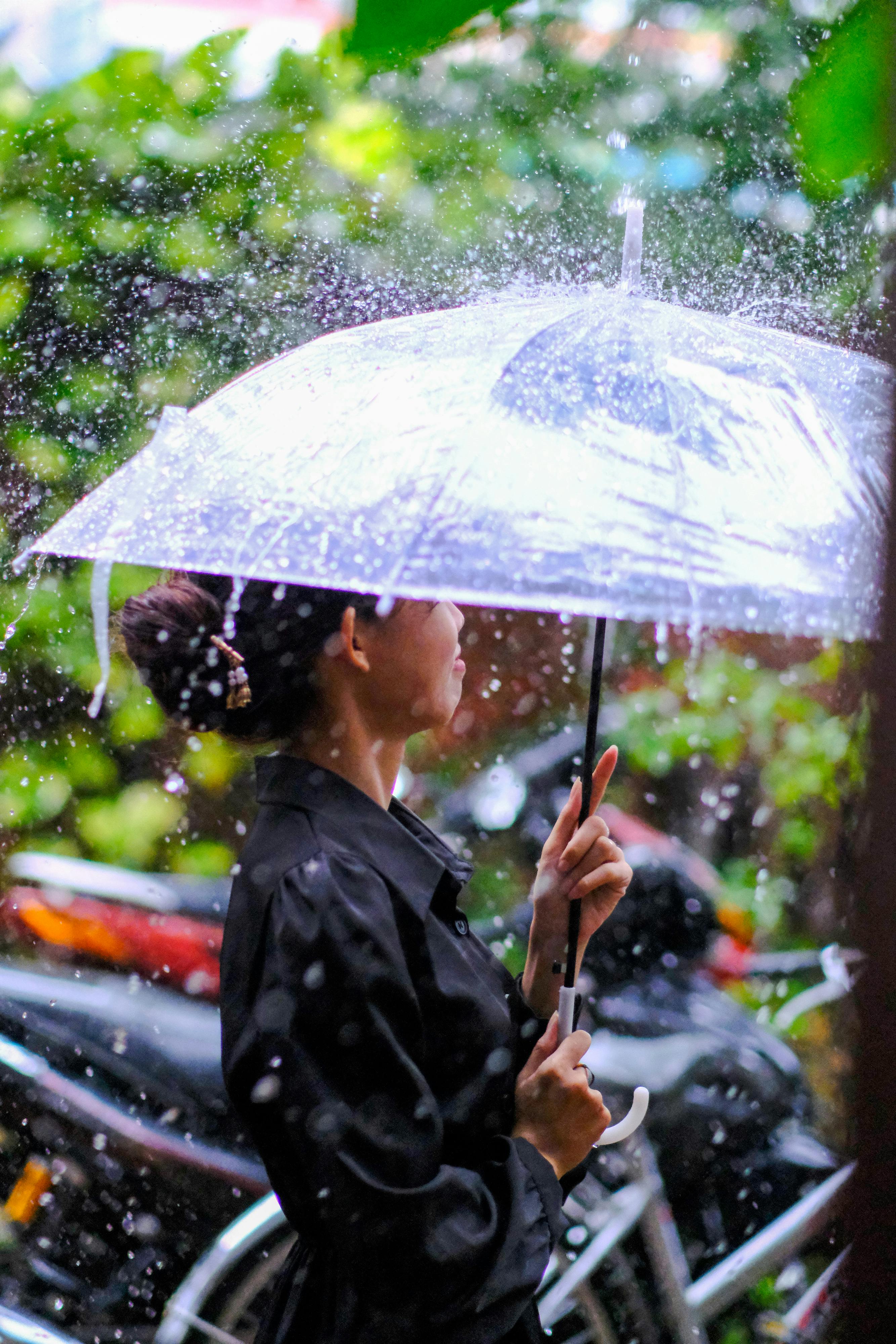 Trung tâm nghiên cứu văn học, phát triển nhà văn Việt Nam