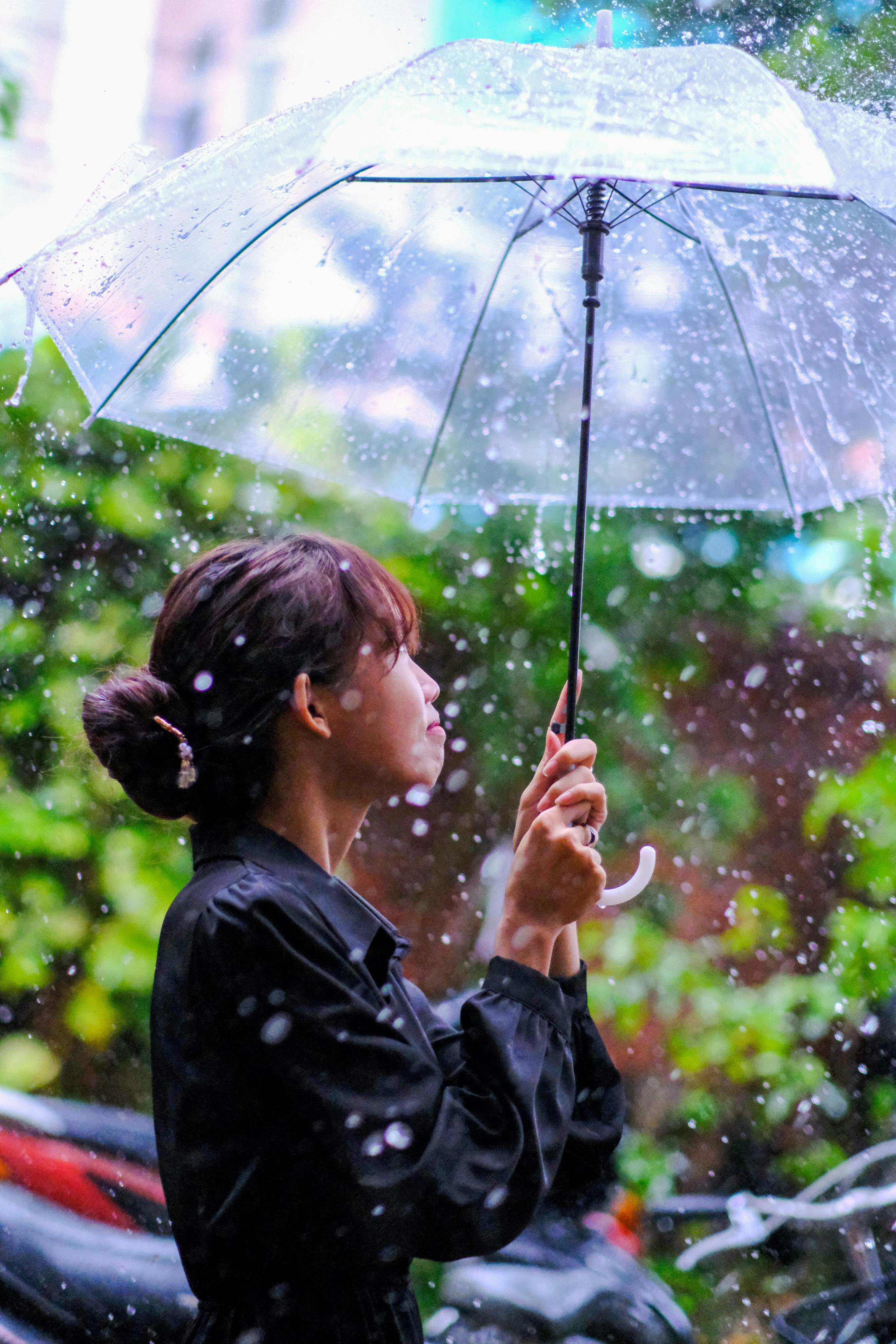 Trung tâm nghiên cứu văn học, phát triển nhà văn Việt Nam