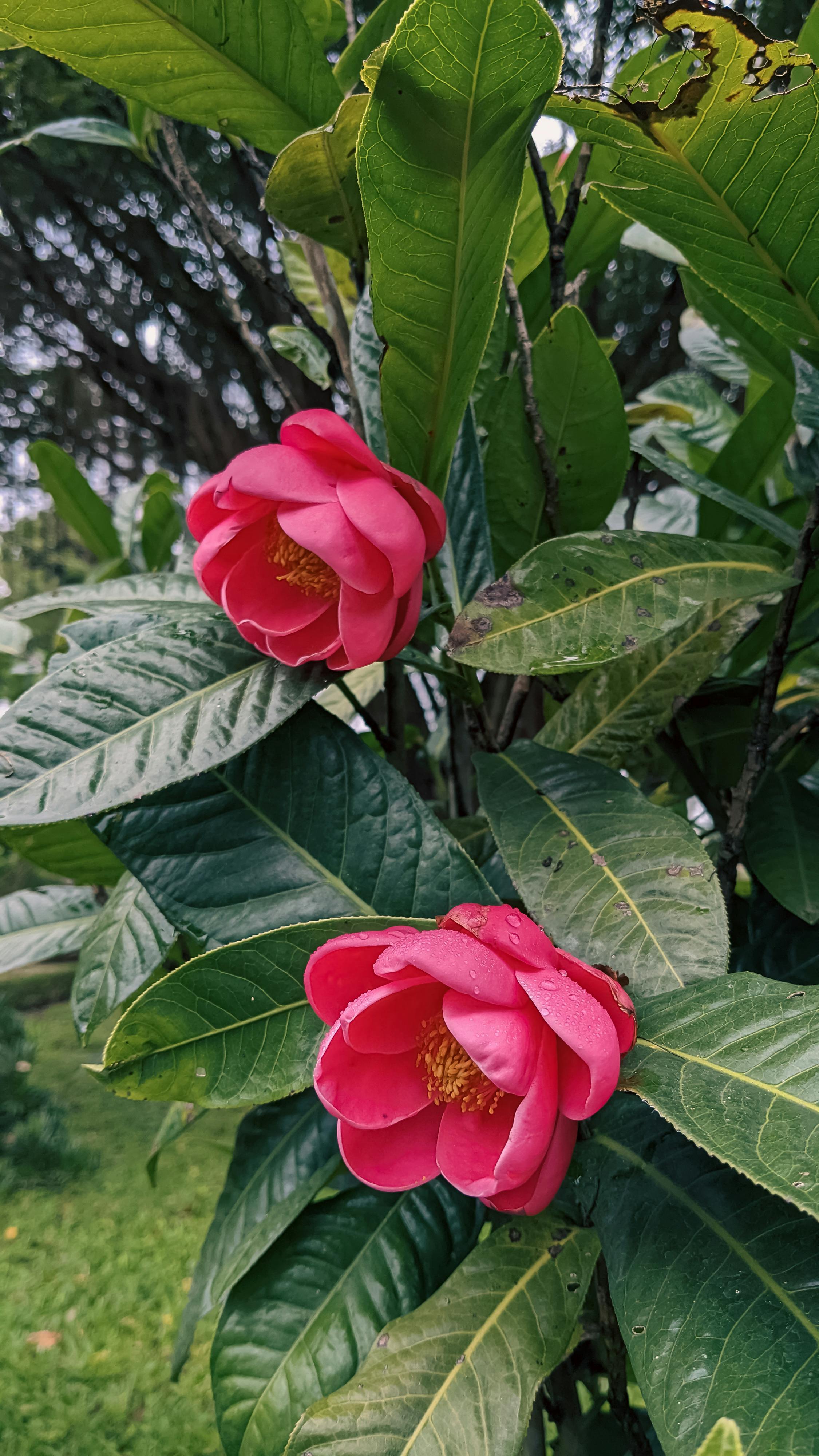 Trung tâm nghiên cứu văn học, phát triển nhà văn Việt Nam