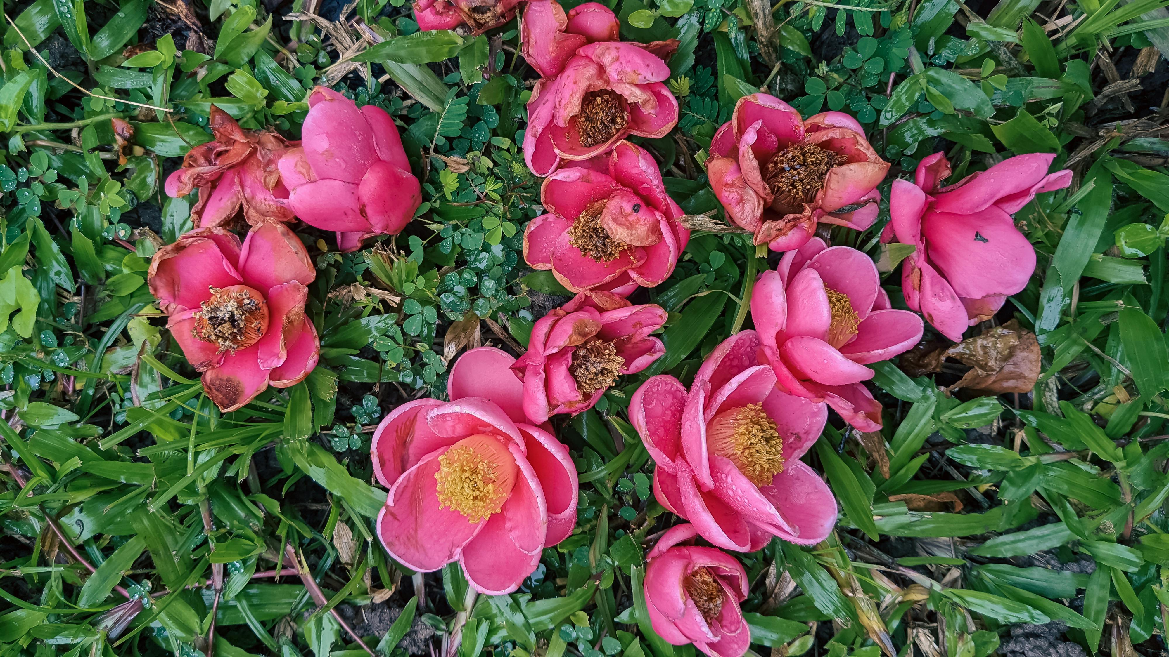 Danh sách theo thẻ tho